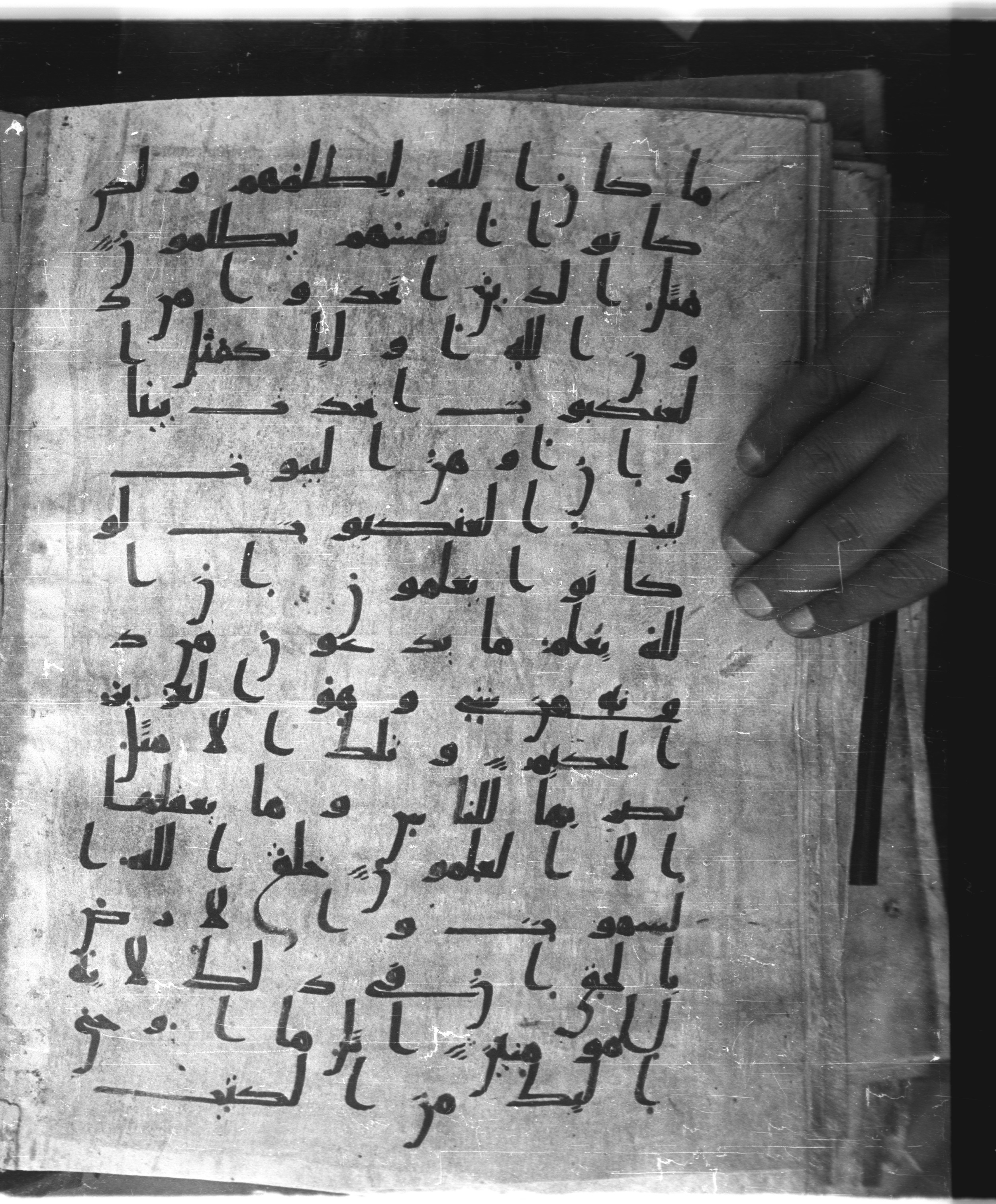 Saray Medina 1a (Karatay 3), in Kūfī script, showing Surah 29:44 from 8th Century AD found in Medina, currently housed at Topkapı Palace Museum, Istanbul