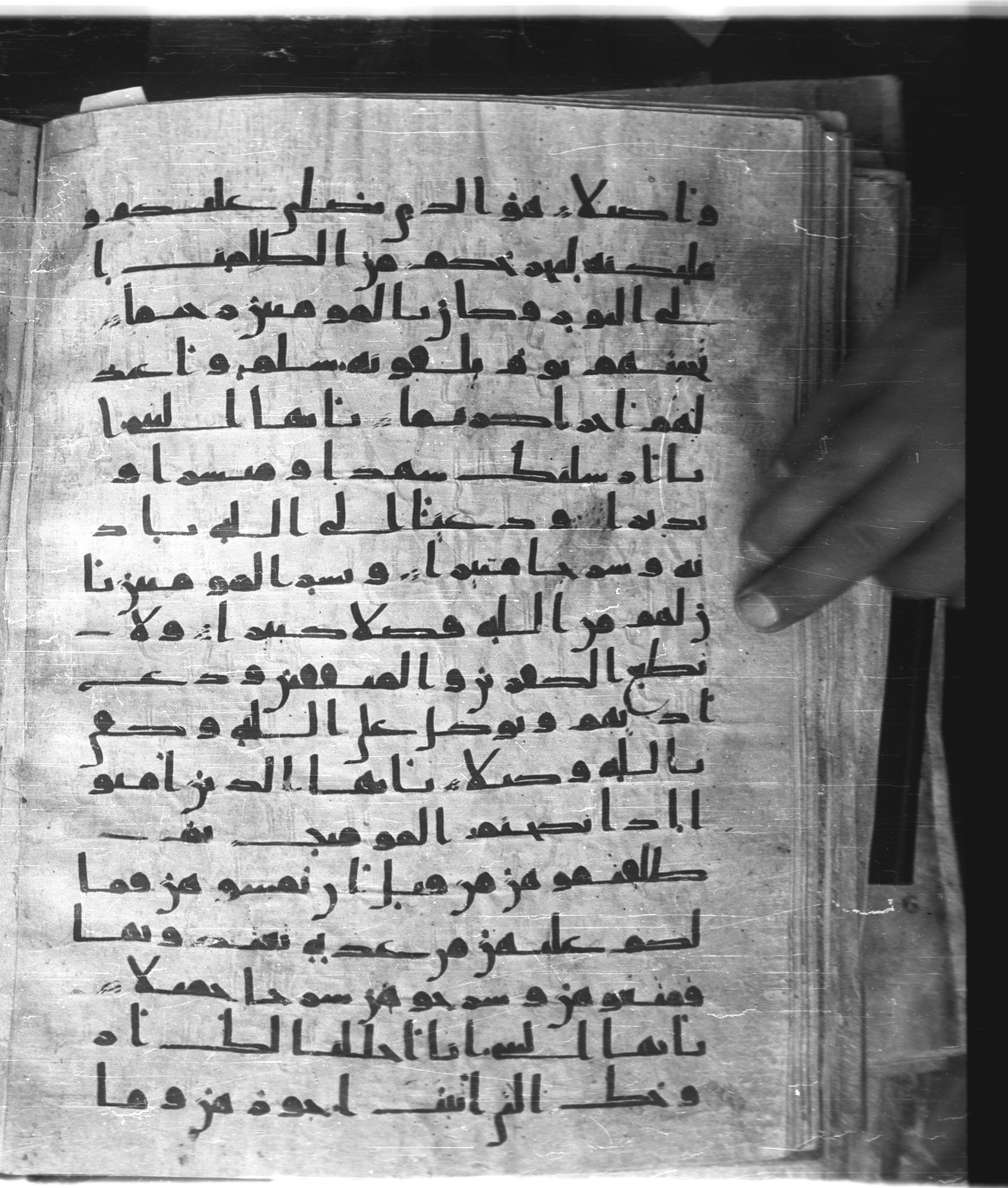 Saray Medina 1a (Karatay 3), in Kūfī script, showing Surah 33:49 from 8th Century AD found in Medina, currently housed at Topkapı Palace Museum, Istanbul