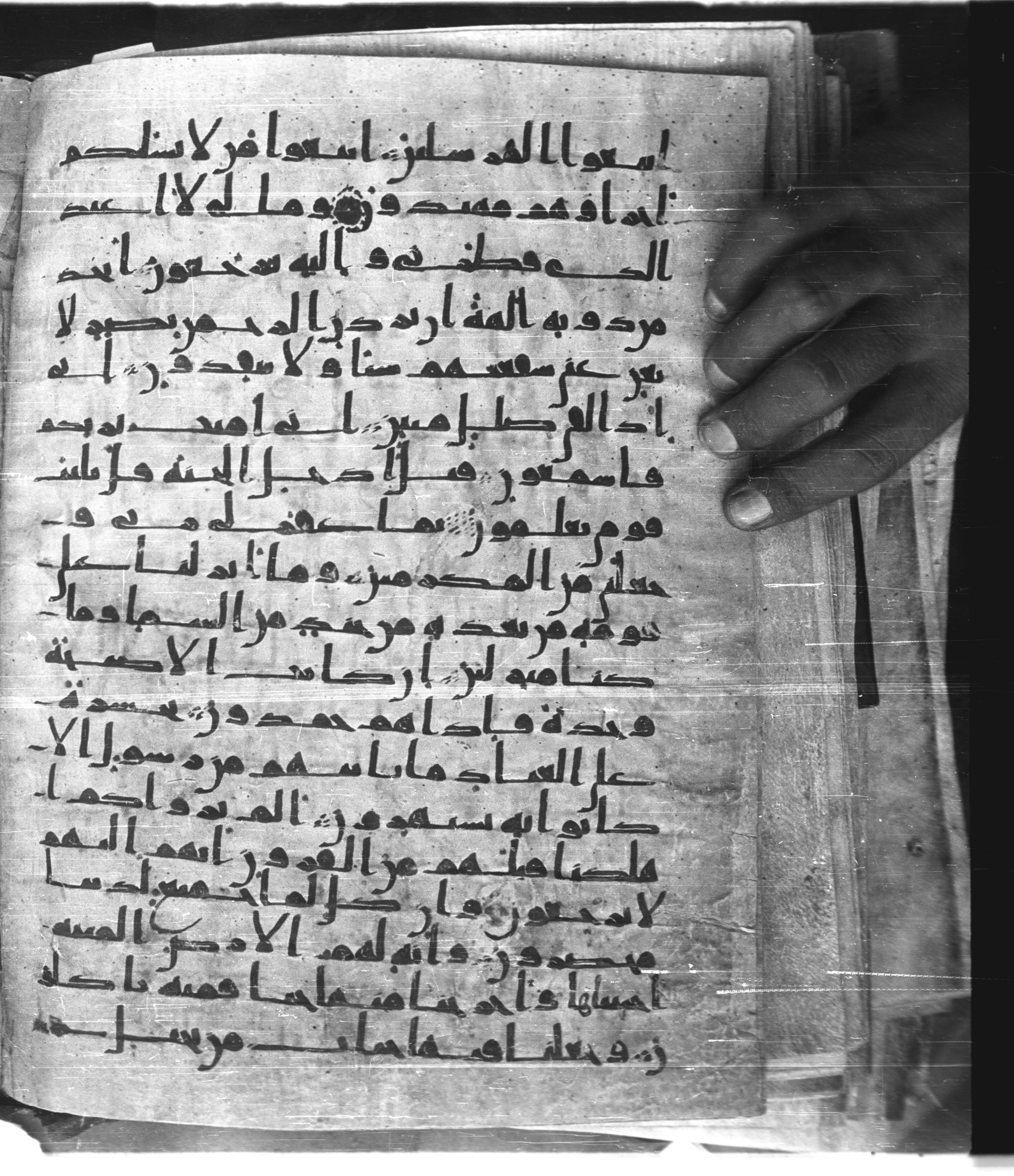 Saray Medina 1a (Karatay 3), in Kūfī script, showing Surah 36:32 from 8th Century AD found in Medina, currently housed at Topkapı Palace Museum, Istanbul