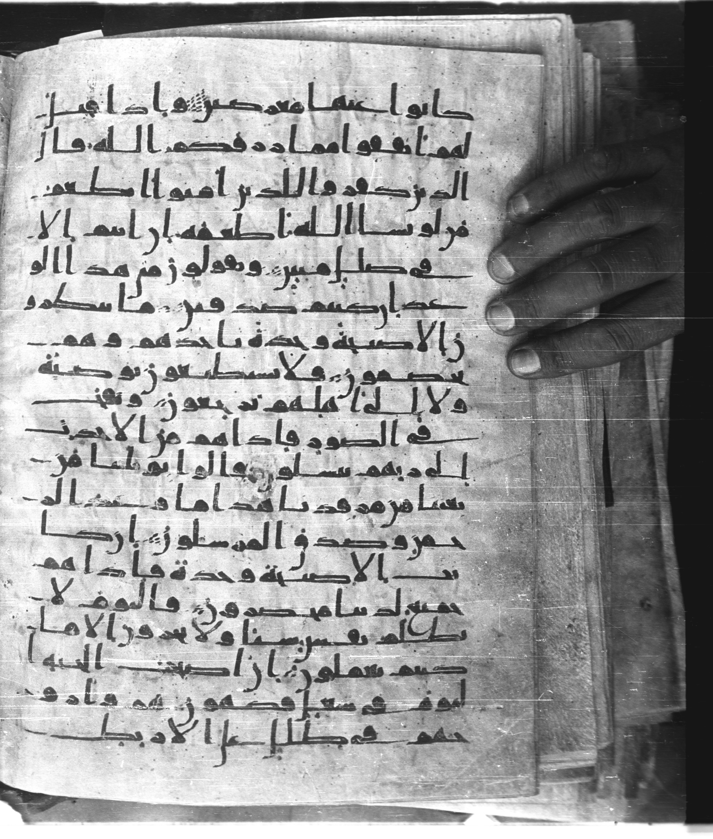 Saray Medina 1a (Karatay 3), in Kūfī script, showing Surah 36:49 from 8th Century AD found in Medina, currently housed at Topkapı Palace Museum, Istanbul