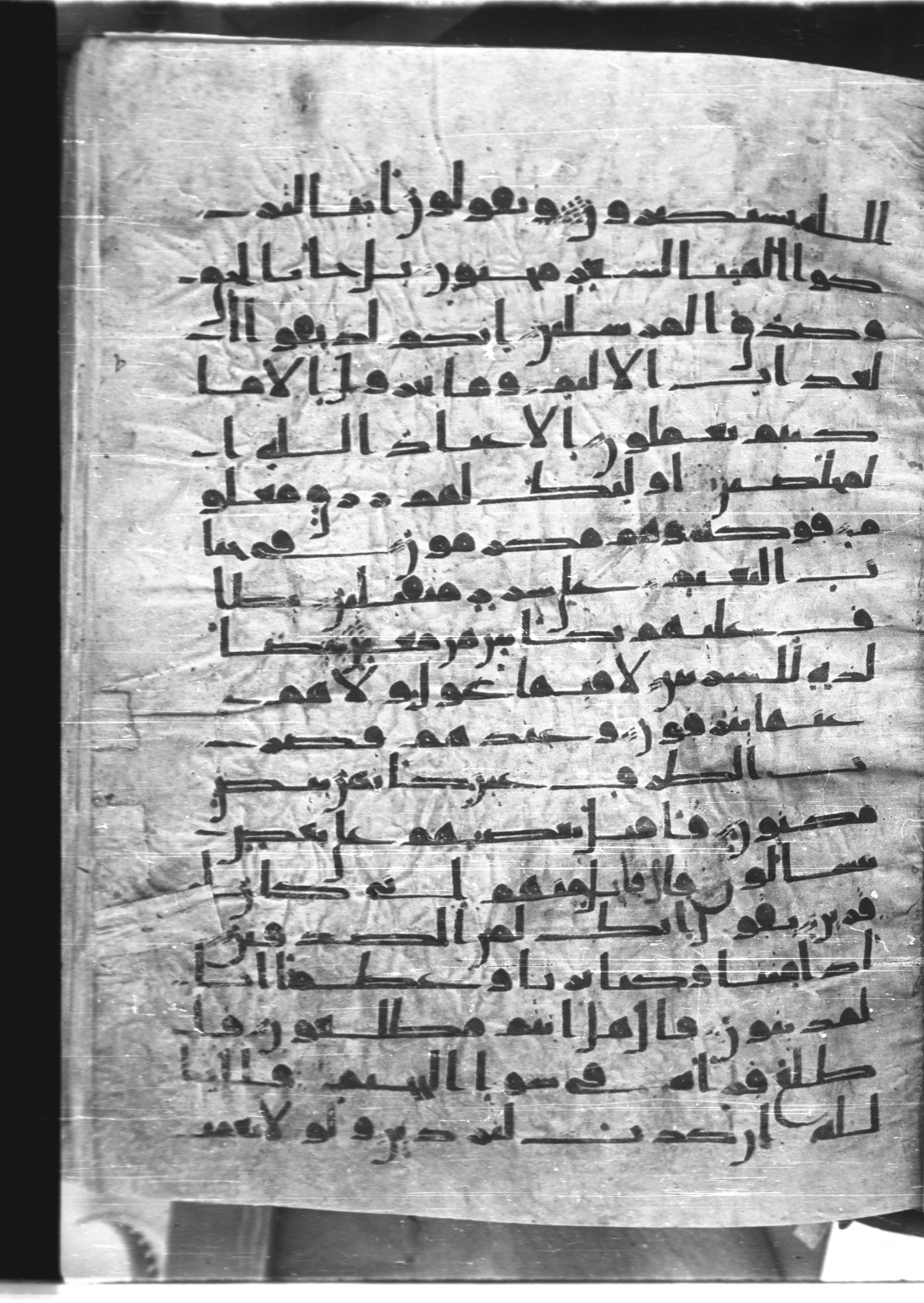 Saray Medina 1a (Karatay 3), in Kūfī script, showing Surah 37:49 from 8th Century AD found in Medina, currently housed at Topkapı Palace Museum, Istanbul