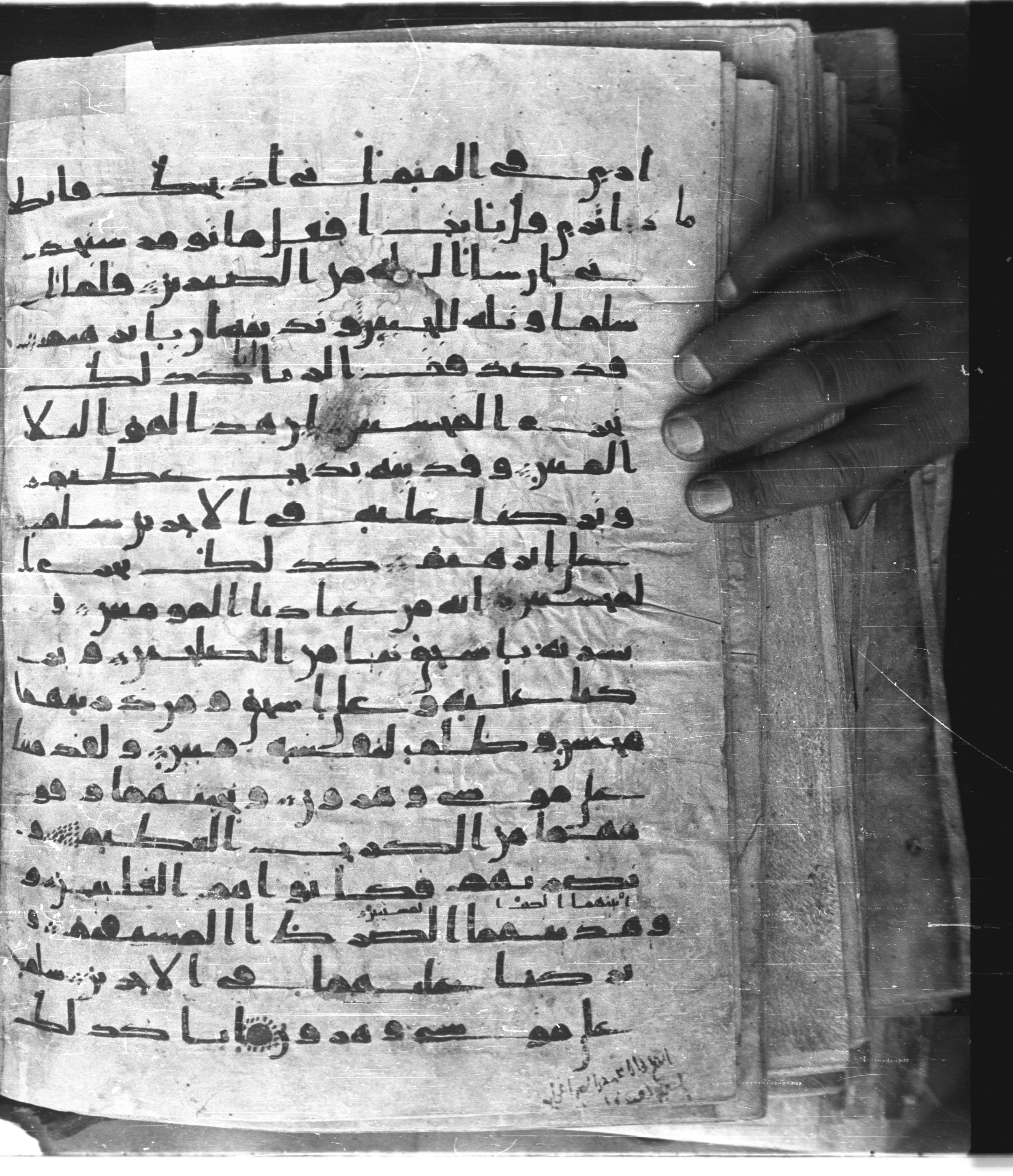 Saray Medina 1a (Karatay 3), in Kūfī script, showing Surah 37:113 from 8th Century AD found in Medina, currently housed at Topkapı Palace Museum, Istanbul