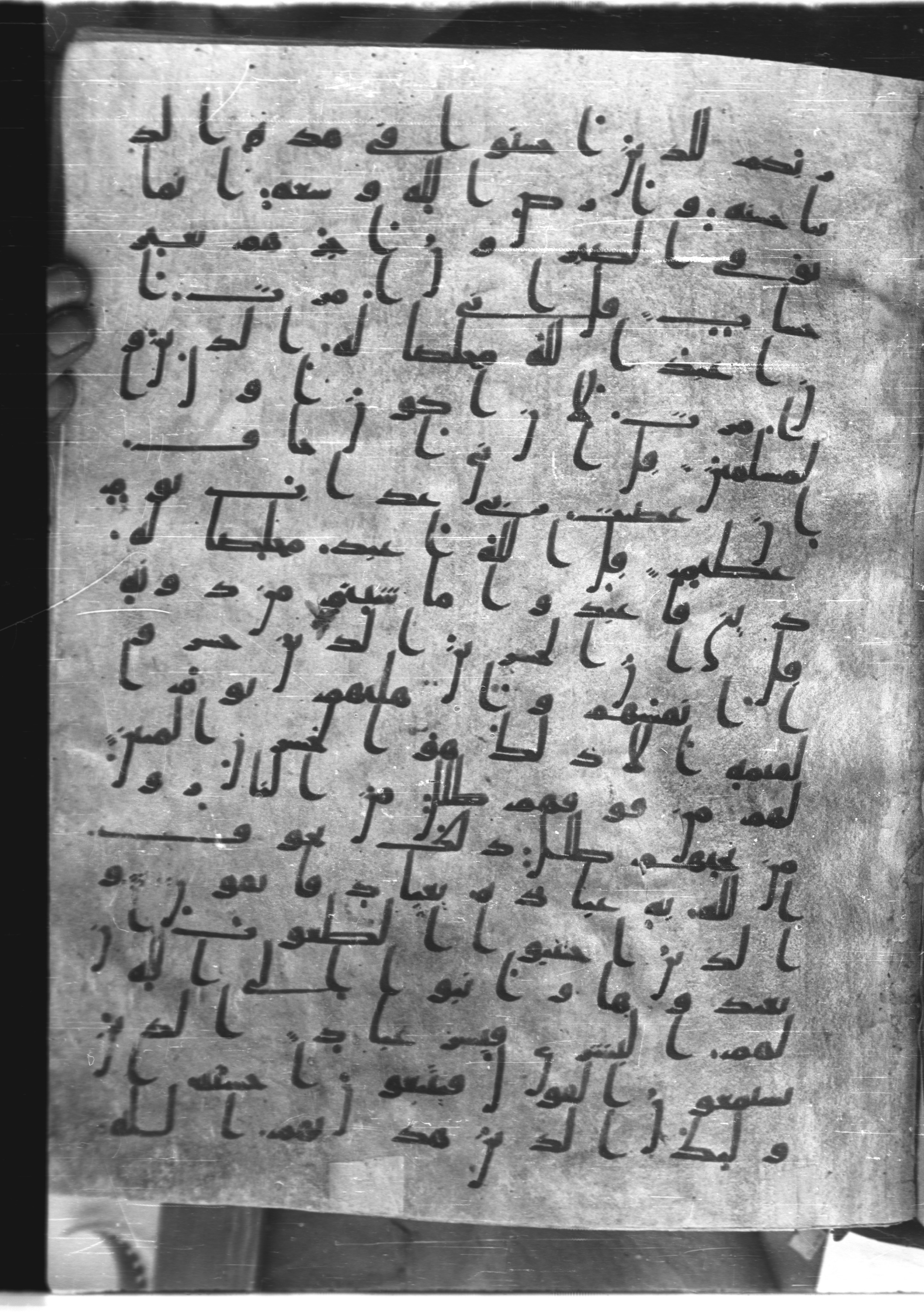 Saray Medina 1a (Karatay 3), in Kūfī script, showing Surah 39:13 from 8th Century AD found in Medina, currently housed at Topkapı Palace Museum, Istanbul
