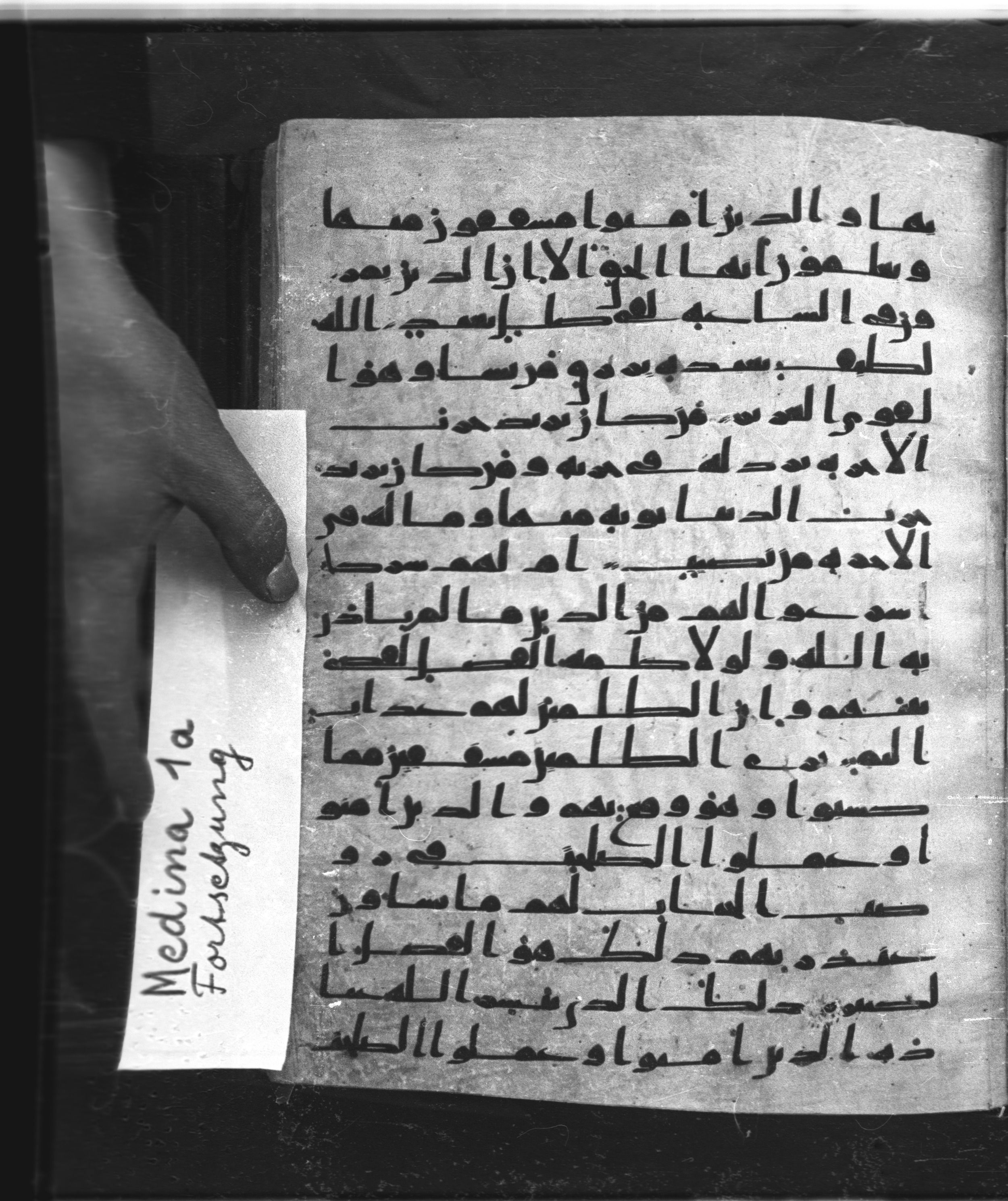 Saray Medina 1a (Karatay 3) (Scan 1), in Kūfī script, showing Surah 42:23 from 8th Century AD found in Medina, currently housed at Topkapı Palace Museum, Istanbul