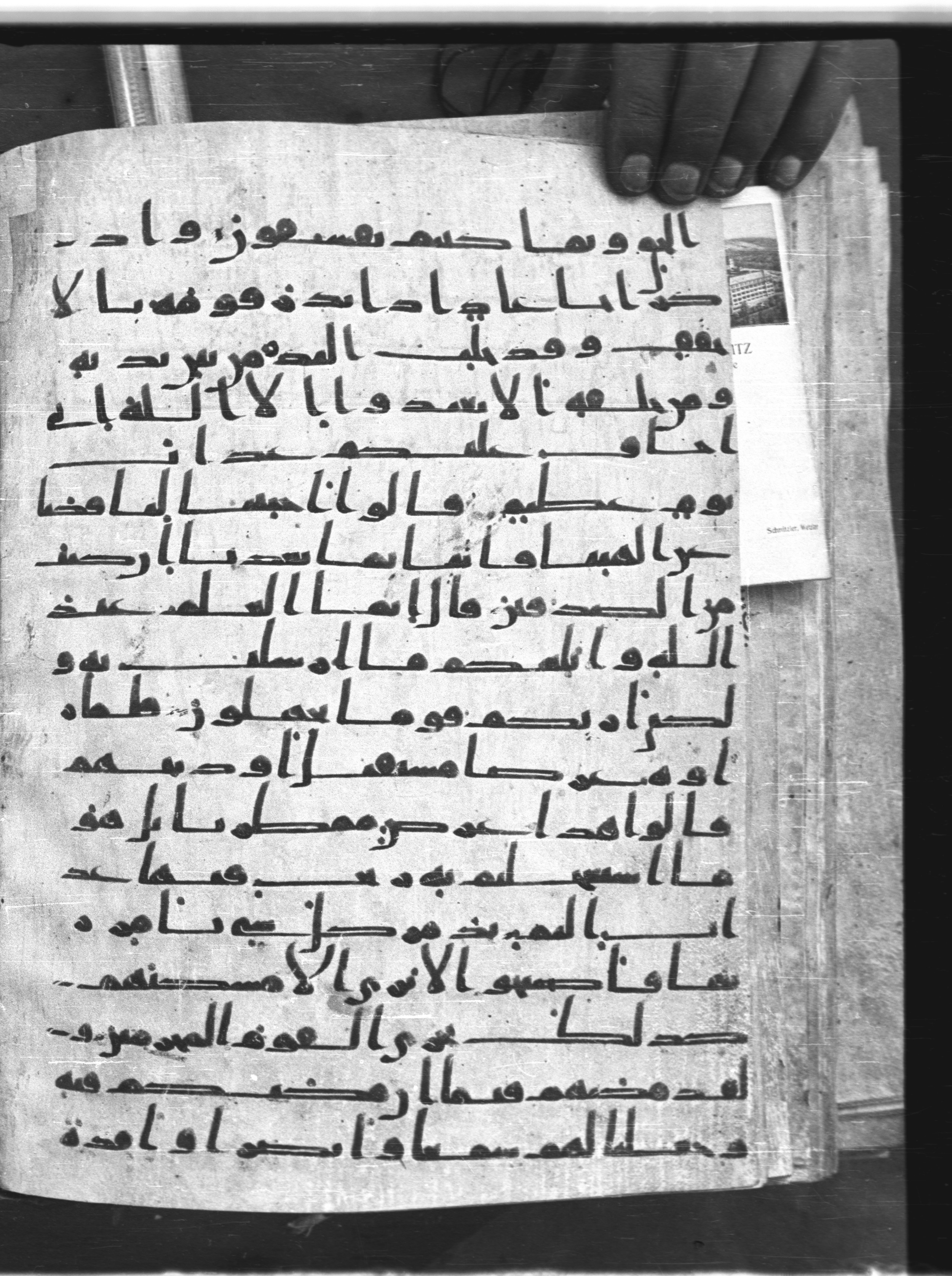 Saray Medina 1a (Karatay 3), in Kūfī script, showing Surah 46:23 from 8th Century AD found in Medina, currently housed at Topkapı Palace Museum, Istanbul