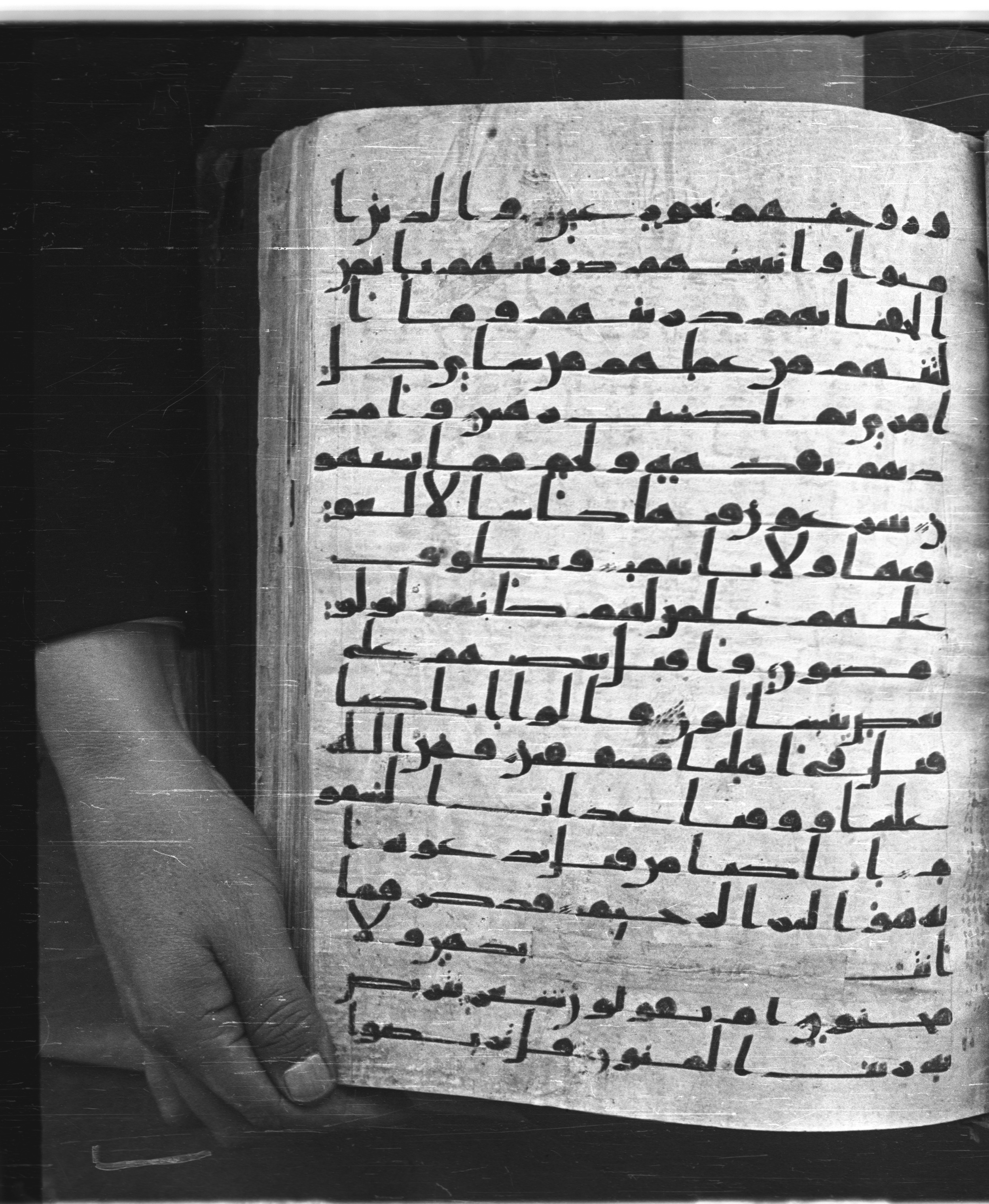 Saray Medina 1a (Karatay 3), in Kūfī script, showing Surah 52:21 from 8th Century AD found in Medina, currently housed at Topkapı Palace Museum, Istanbul