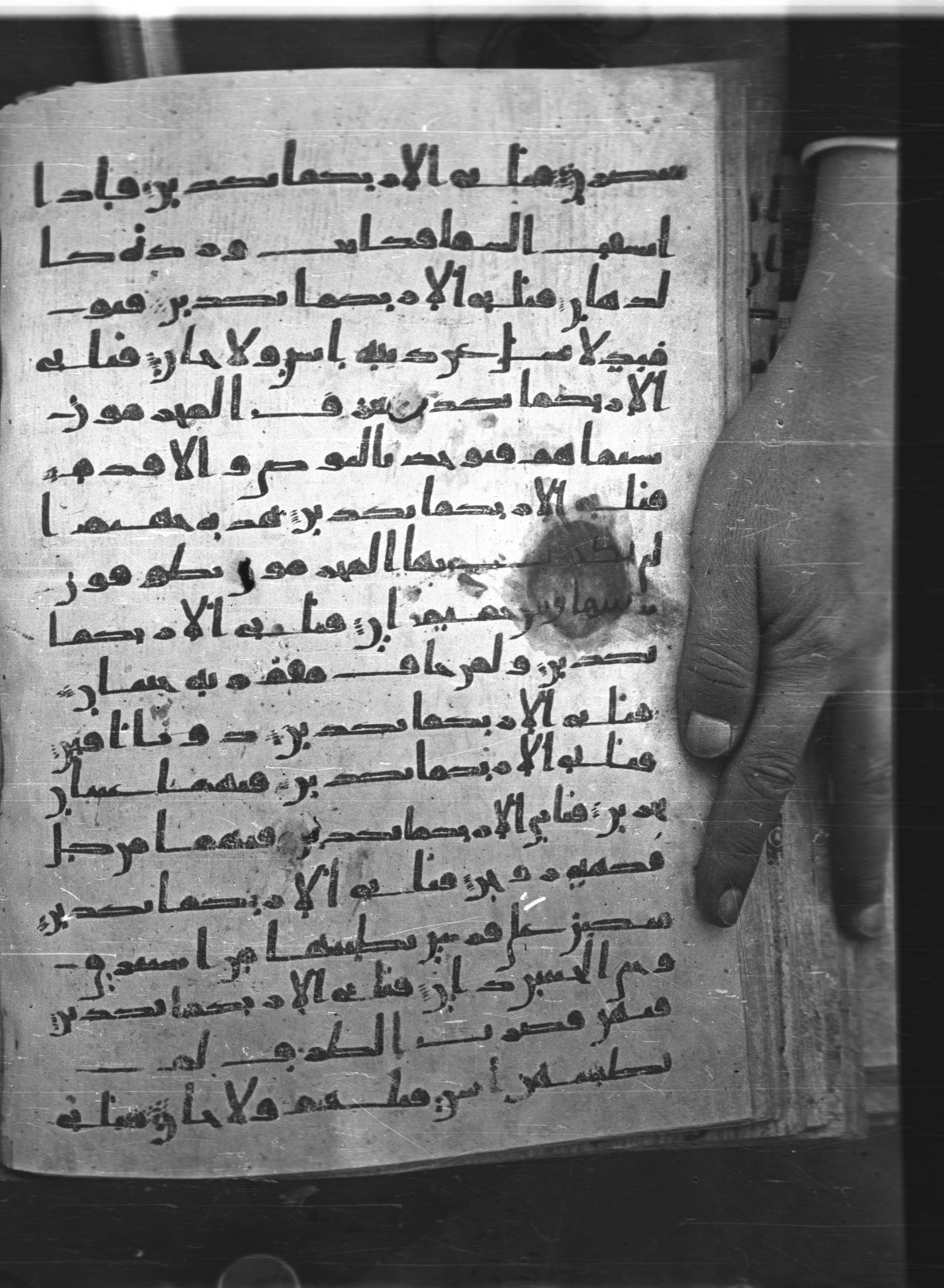 Saray Medina 1a (Karatay 3), in Kūfī script, showing Surah 55:39 from 8th Century AD found in Medina, currently housed at Topkapı Palace Museum, Istanbul