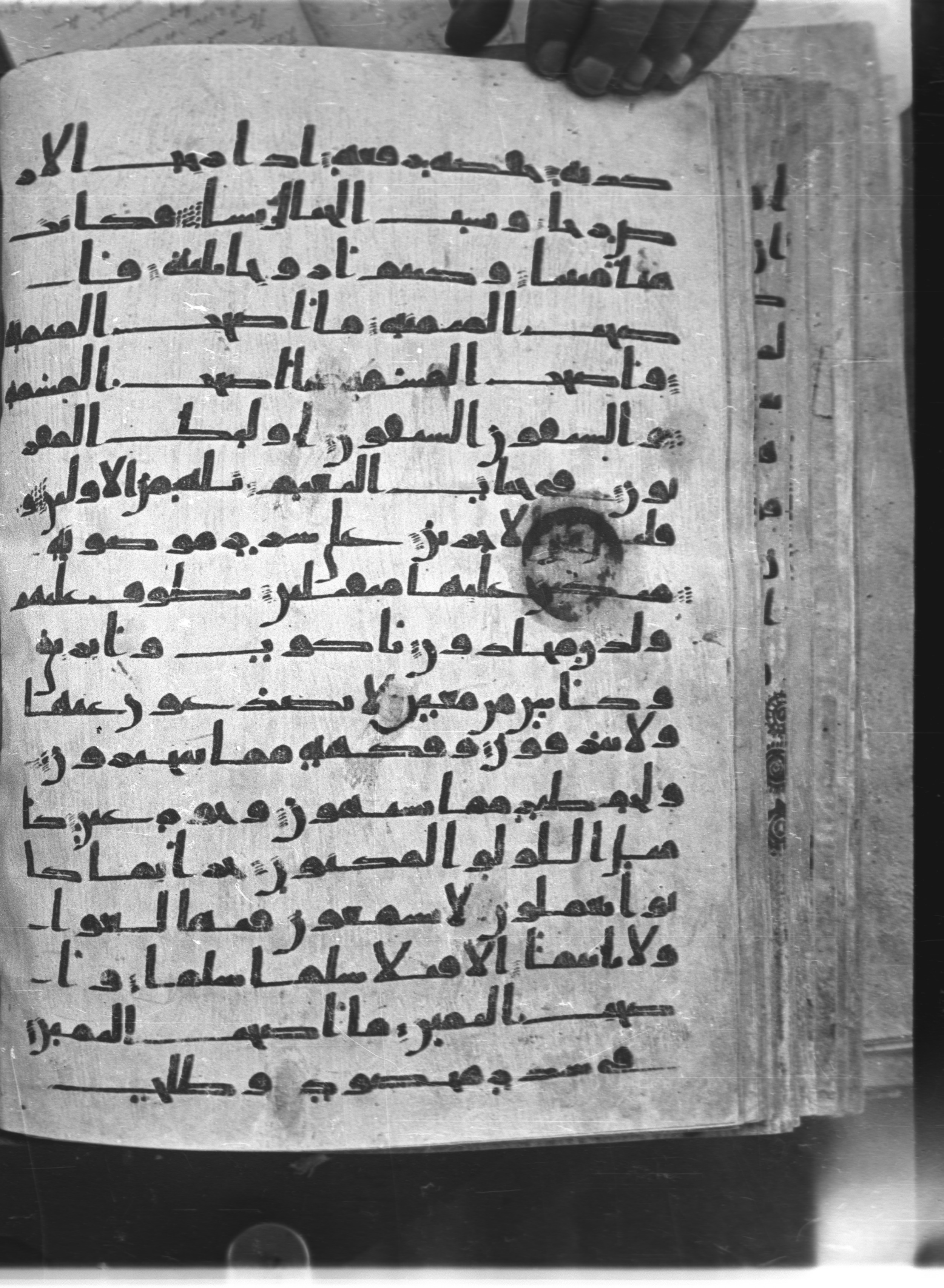 Saray Medina 1a (Karatay 3), in Kūfī script, showing Surah 56:21 from 8th Century AD found in Medina, currently housed at Topkapı Palace Museum, Istanbul