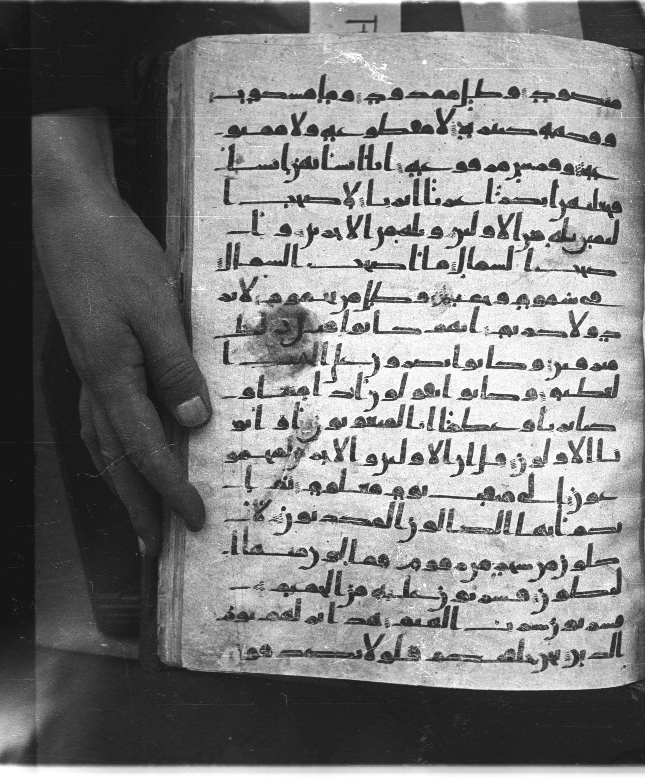 Saray Medina 1a (Karatay 3), in Kūfī script, showing Surah 56:39 from 8th Century AD found in Medina, currently housed at Topkapı Palace Museum, Istanbul