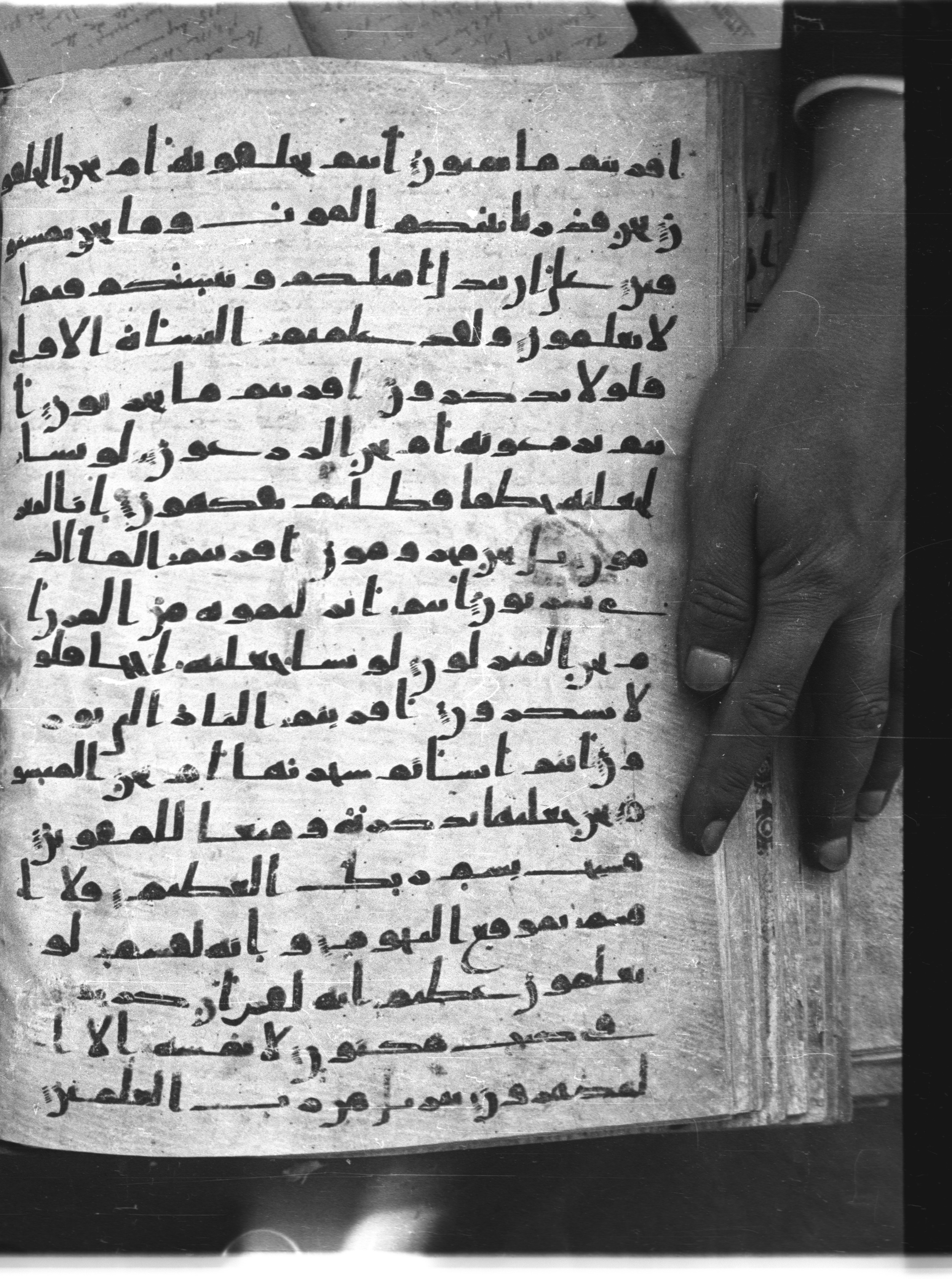 Saray Medina 1a (Karatay 3), in Kūfī script, showing Surah 56:76 from 8th Century AD found in Medina, currently housed at Topkapı Palace Museum, Istanbul