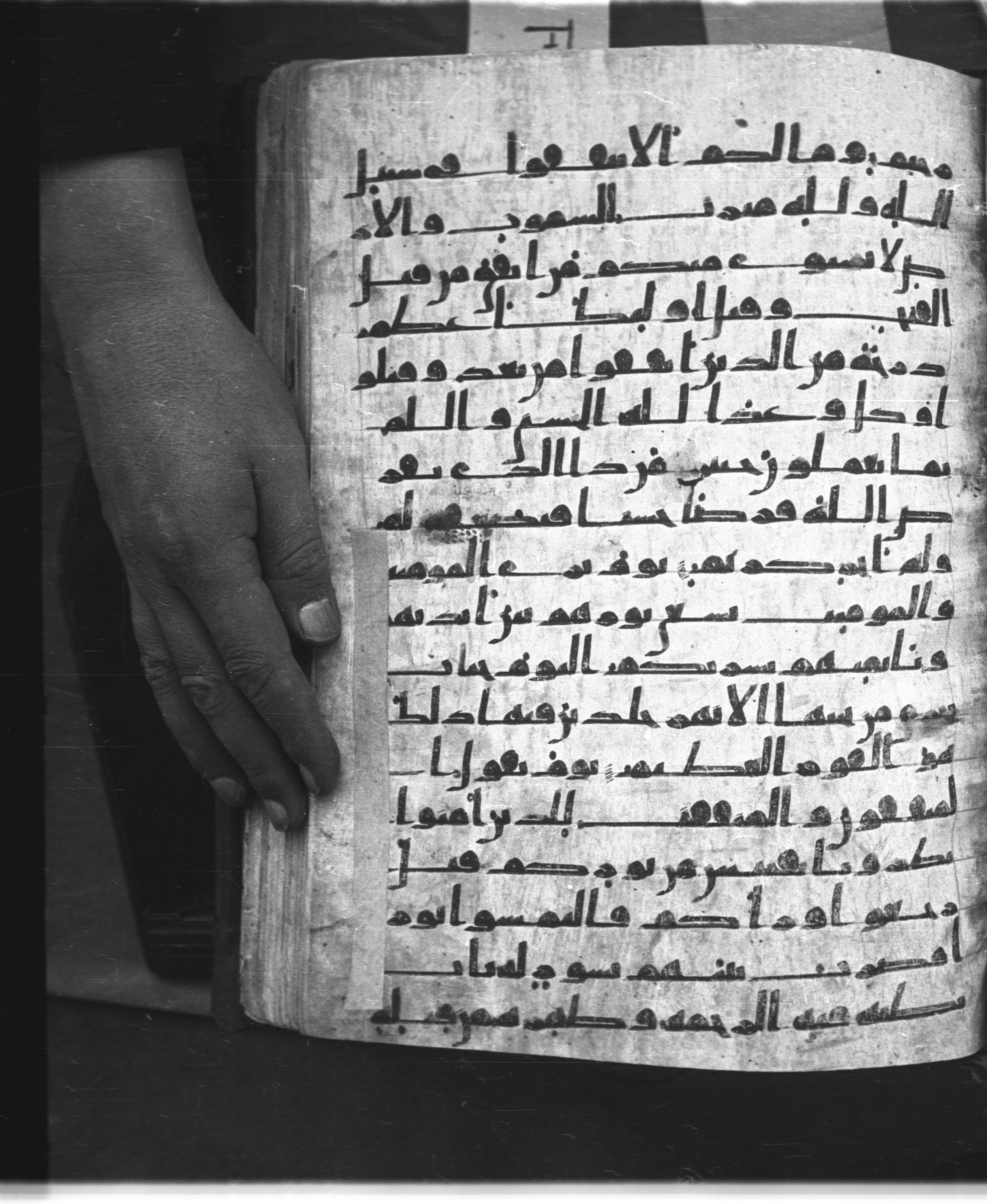 Saray Medina 1a (Karatay 3) (Scan 1), in Kūfī script, showing Surah 57:13 from 8th Century AD found in Medina, currently housed at Topkapı Palace Museum, Istanbul