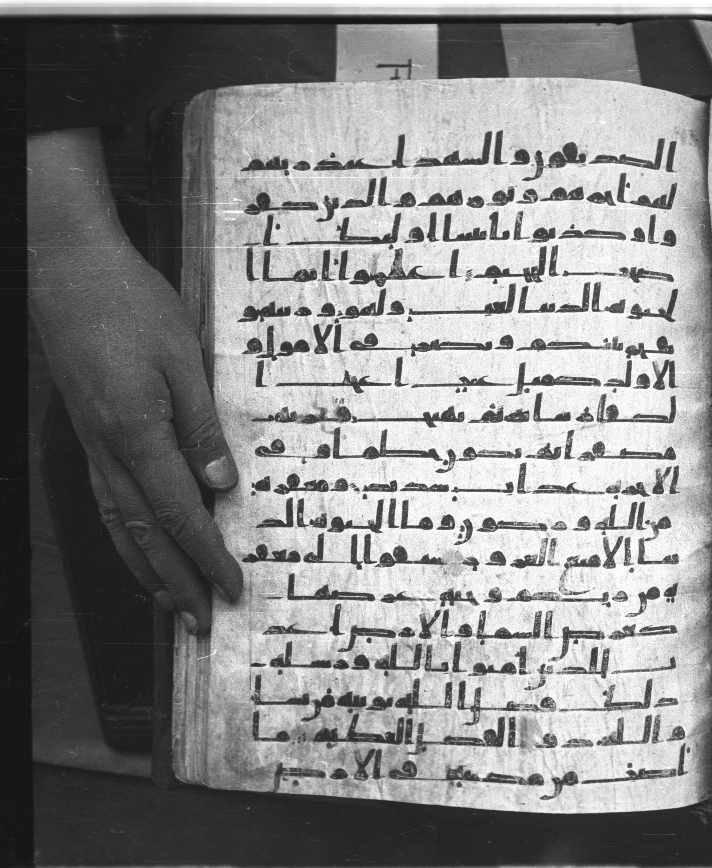 Saray Medina 1a (Karatay 3), in Kūfī script, showing Surah 57:21 from 8th Century AD found in Medina, currently housed at Topkapı Palace Museum, Istanbul