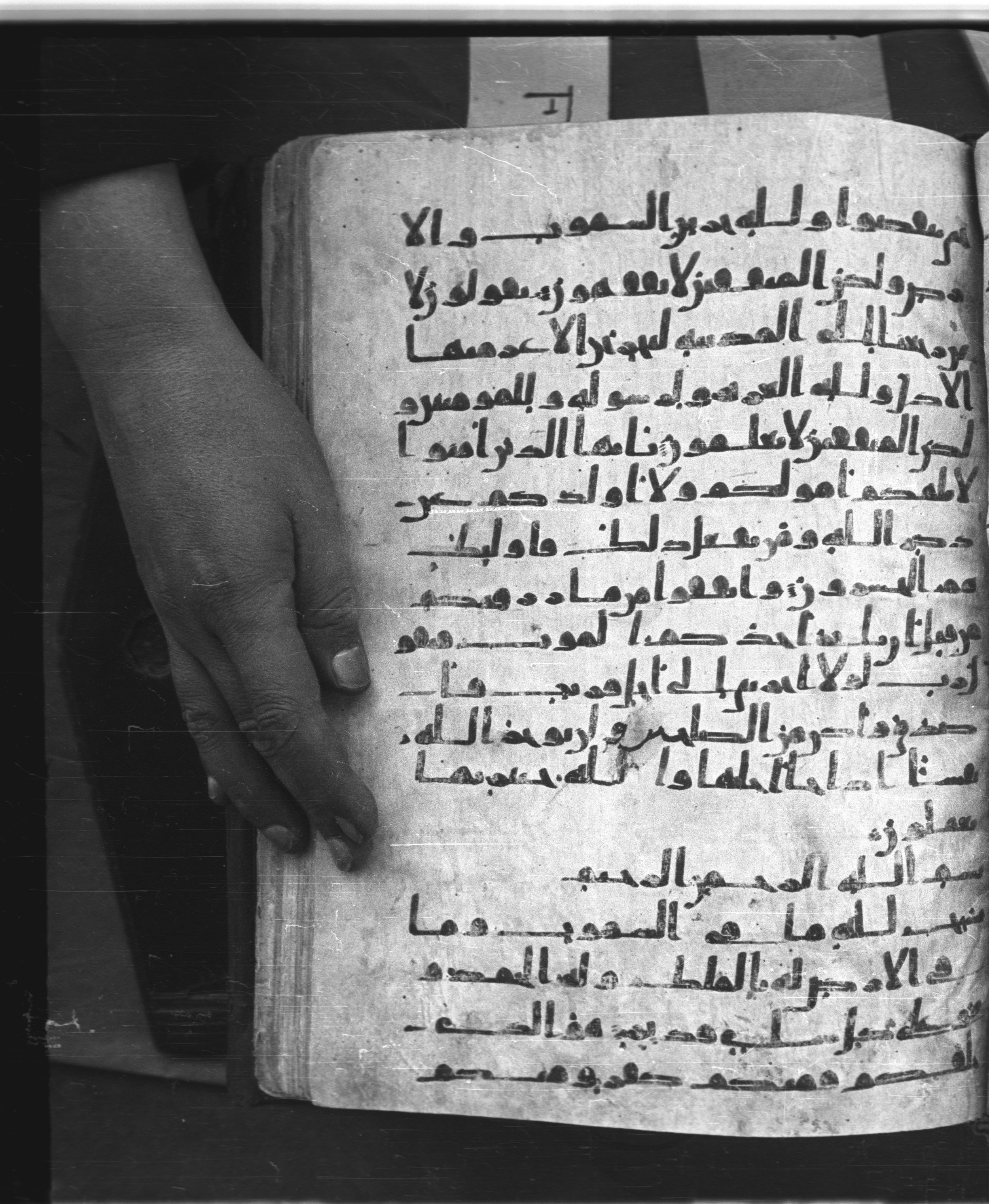 Saray Medina 1a (Karatay 3) (Scan 1), in Kūfī script, showing Surah 64:2 from 8th Century AD found in Medina, currently housed at Topkapı Palace Museum, Istanbul
