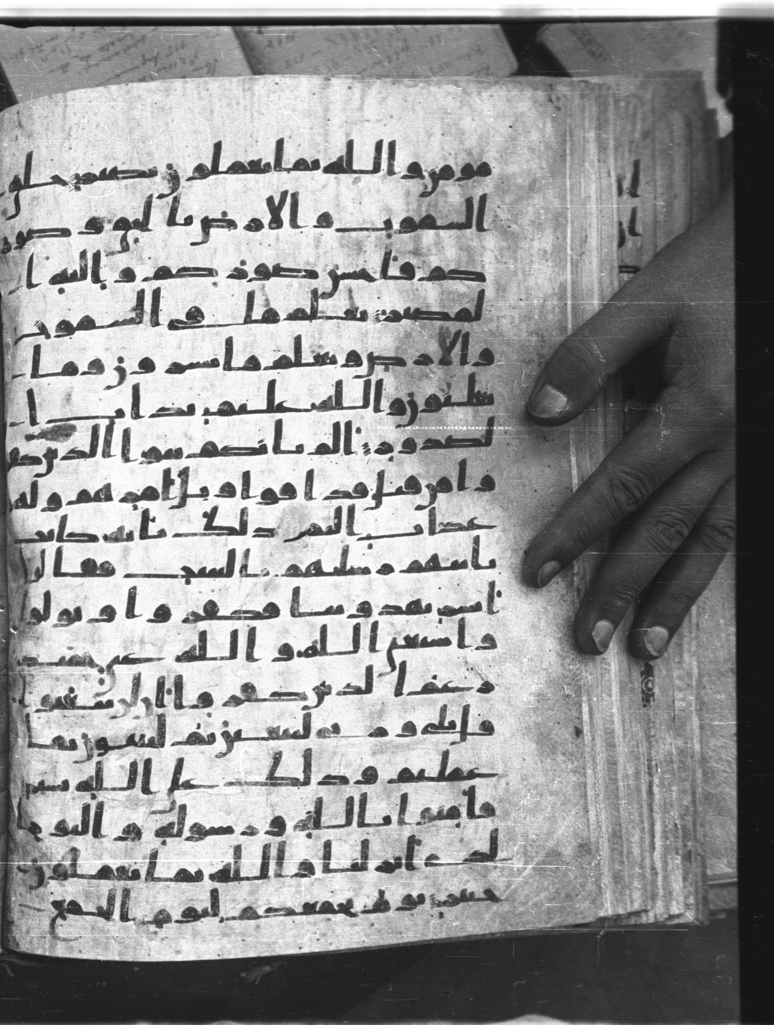 Saray Medina 1a (Karatay 3) (Scan 2), in Kūfī script, showing Surah 64:2 from 8th Century AD found in Medina, currently housed at Topkapı Palace Museum, Istanbul