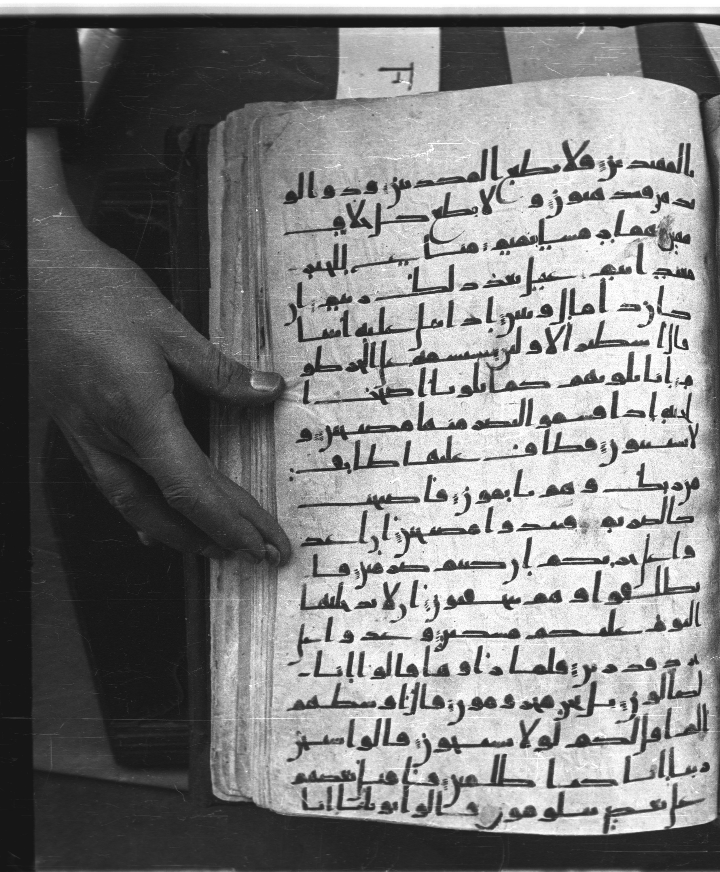 Saray Medina 1a (Karatay 3), in Kūfī script, showing Surah 68:13 from 8th Century AD found in Medina, currently housed at Topkapı Palace Museum, Istanbul