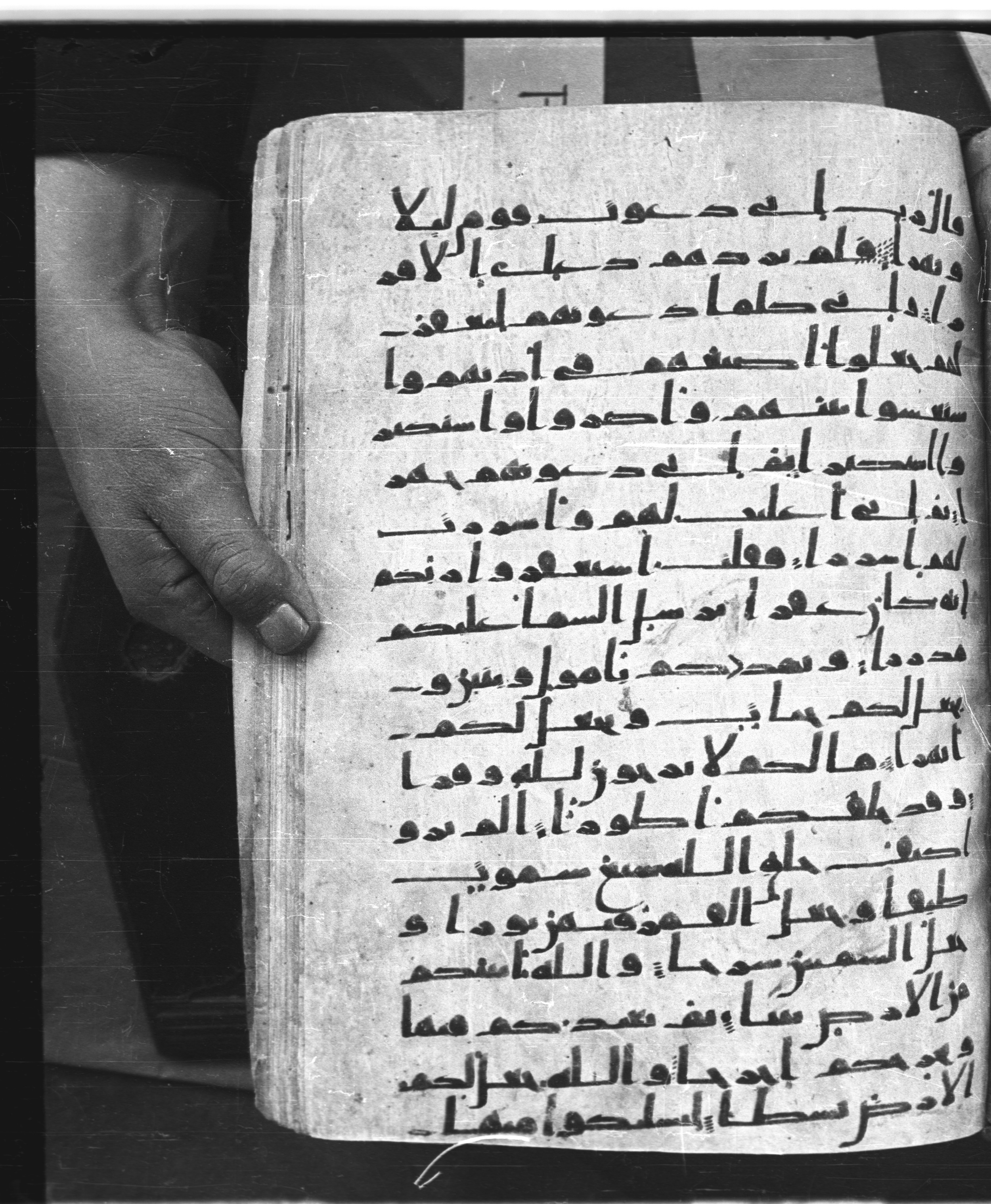 Saray Medina 1a (Karatay 3), in Kūfī script, showing Surah 71:13 from 8th Century AD found in Medina, currently housed at Topkapı Palace Museum, Istanbul