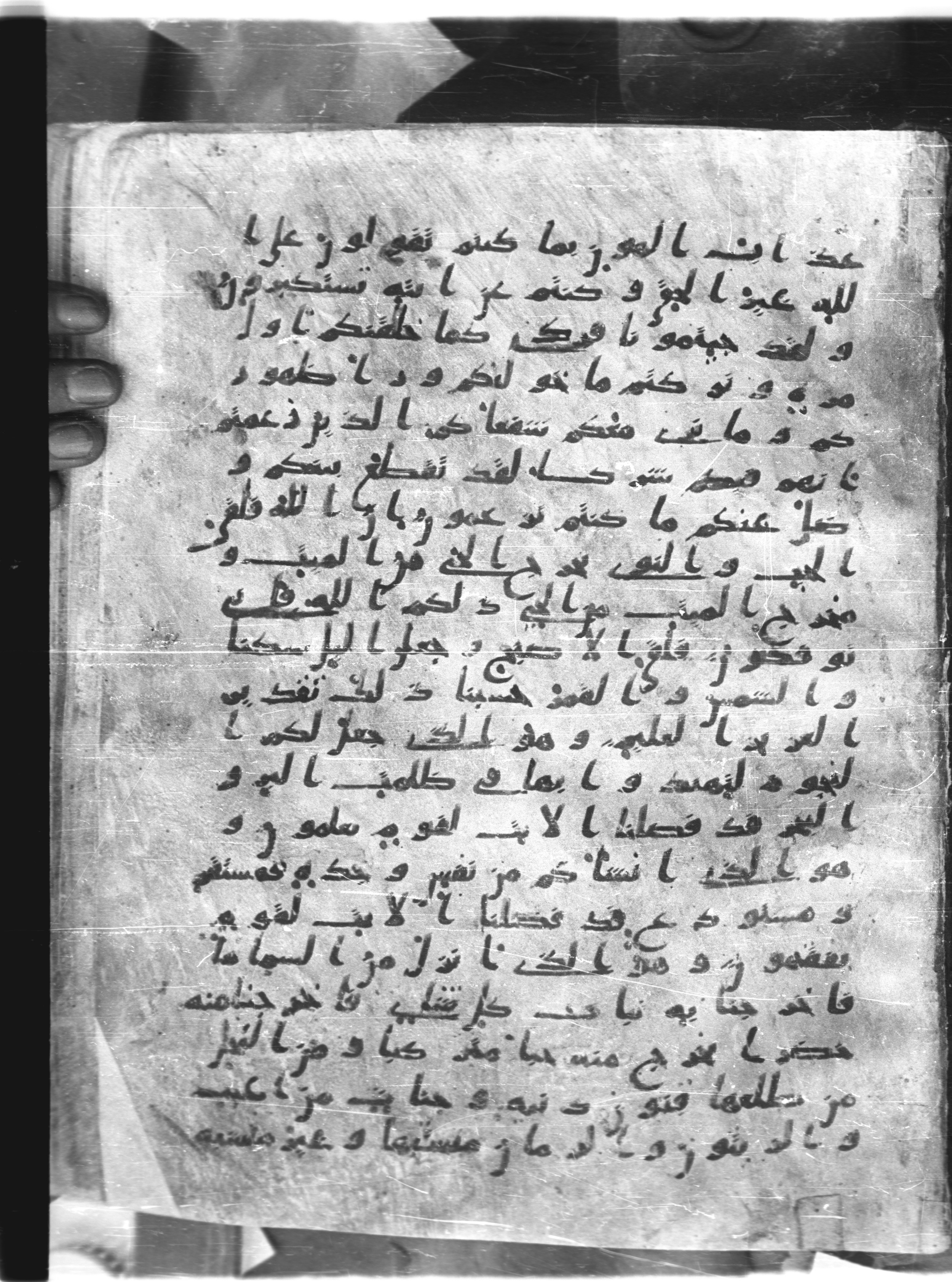 Saray Medina 1a (Karatay 3), in Kūfī script, showing Surah 6:95 from 8th Century AD found in Medina, currently housed at Topkapı Palace Museum, Istanbul