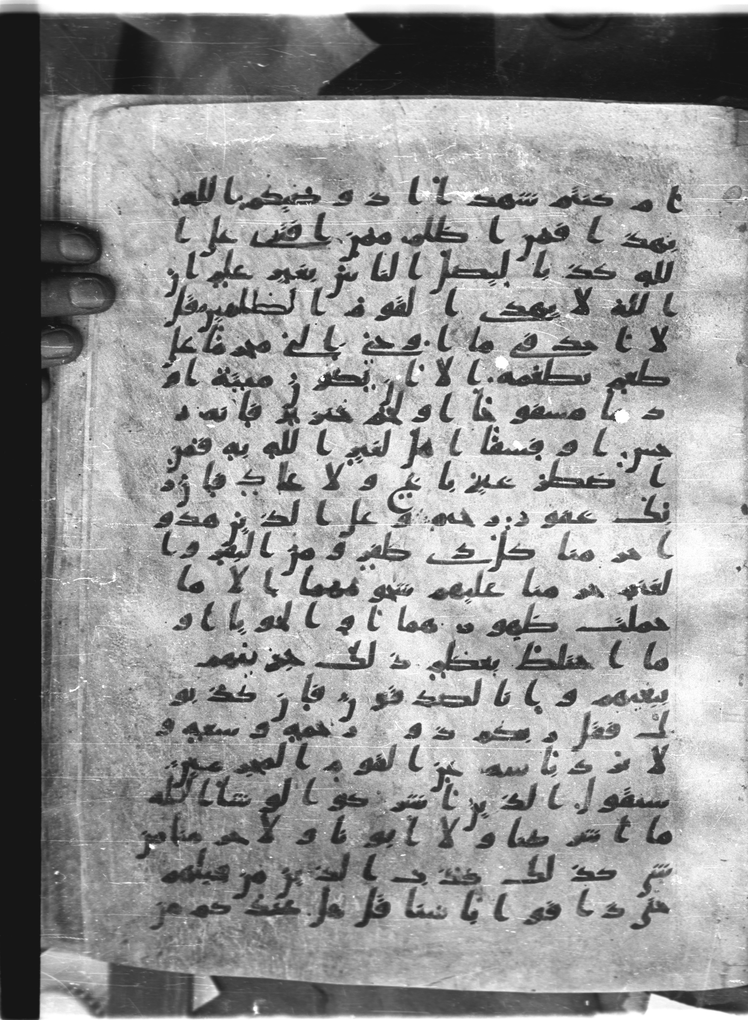 Saray Medina 1a (Karatay 3), in Kūfī script, showing Surah 6:147 from 8th Century AD found in Medina, currently housed at Topkapı Palace Museum, Istanbul