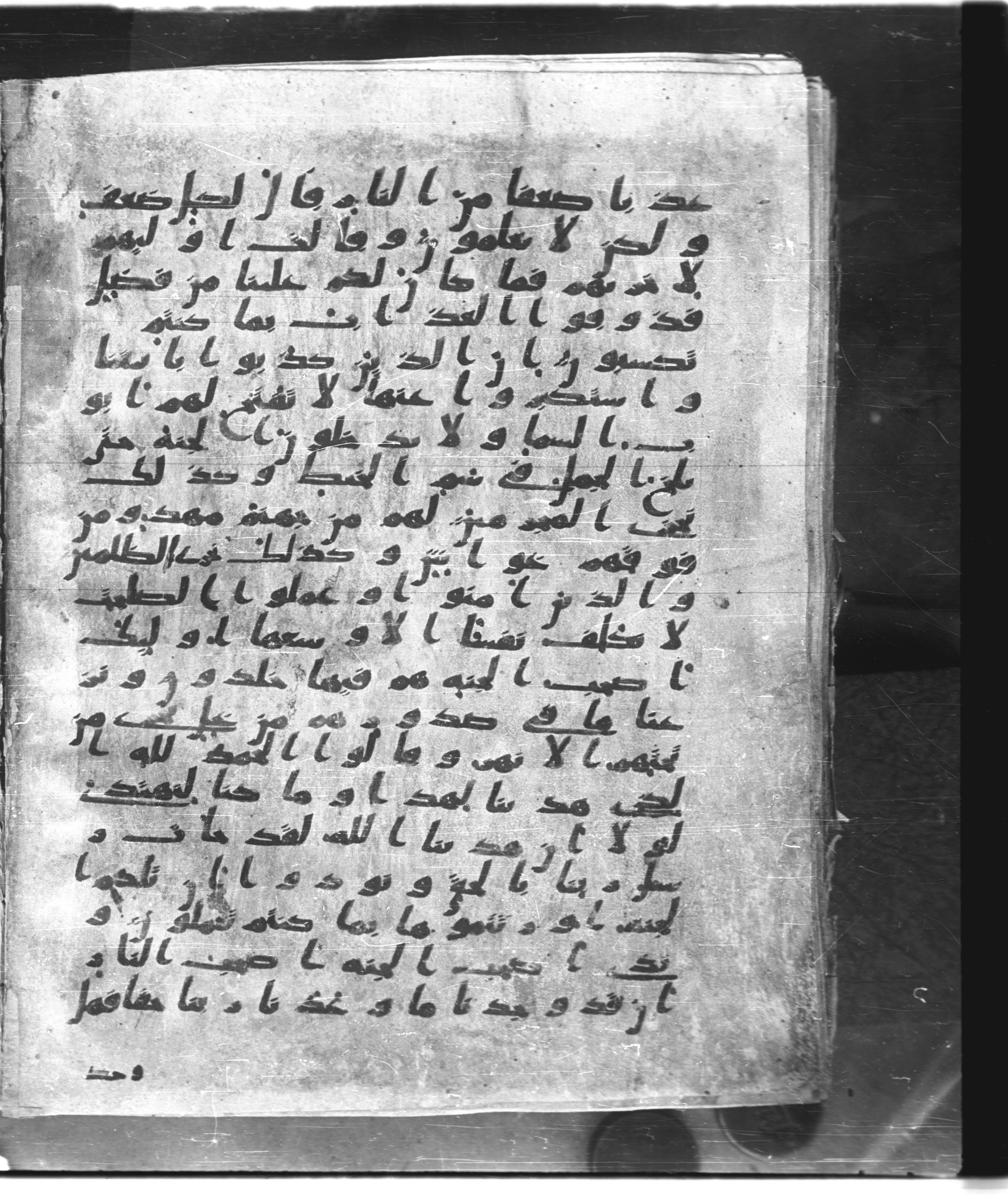 Saray Medina 1a (Karatay 3), in Kūfī script, showing Surah 7:39 from 8th Century AD found in Medina, currently housed at Topkapı Palace Museum, Istanbul