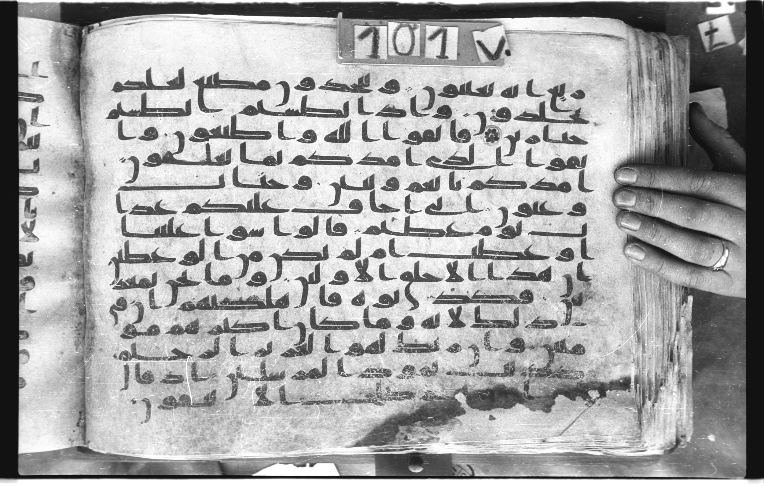 Topkapı Palace Museum, "Saray Medina 1b" (M. 3) (Scan 1), in Kufic (Type C.III) script, showing Surah 26:136 from 8th to 10th Century AD found in Medina, Saudi Arabia, currently housed at Topkapı Palace Museum, Istanbul, Turkey