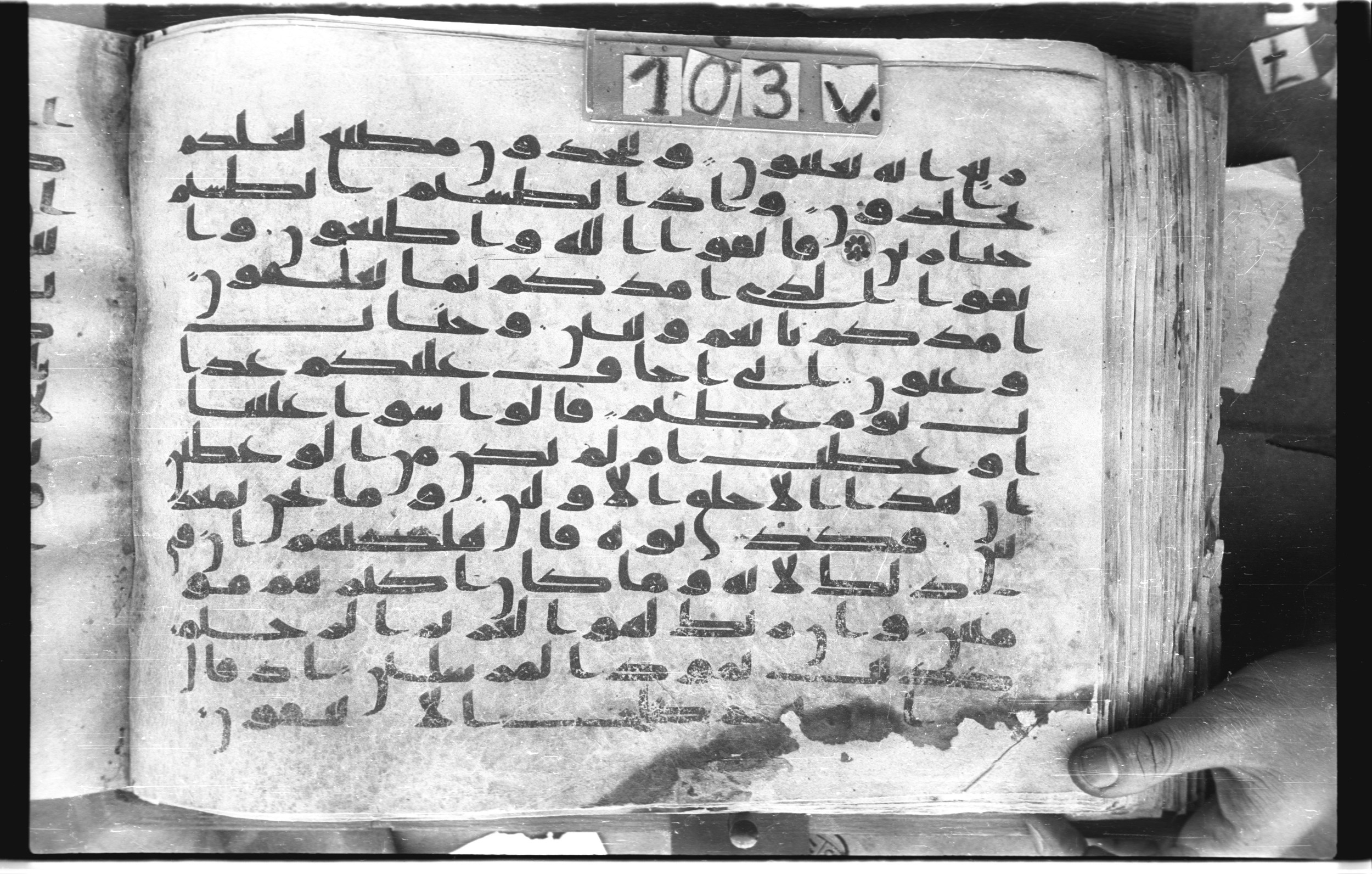 Topkapı Palace Museum, "Saray Medina 1b" (M. 3) (Scan 2), in Kufic (Type C.III) script, showing Surah 26:136 from 8th to 10th Century AD found in Medina, Saudi Arabia, currently housed at Topkapı Palace Museum, Istanbul, Turkey