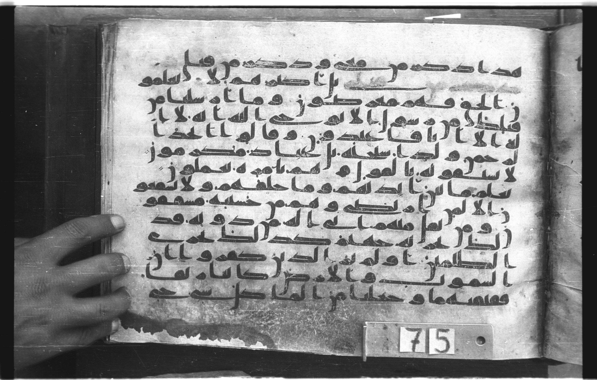 Topkapı Palace Museum, "Saray Medina 1b" (M. 3), in Kufic (Type C.III) script, showing Surah 21:29 from 8th to 10th Century AD found in Medina, Saudi Arabia, currently housed at Topkapı Palace Museum, Istanbul, Turkey