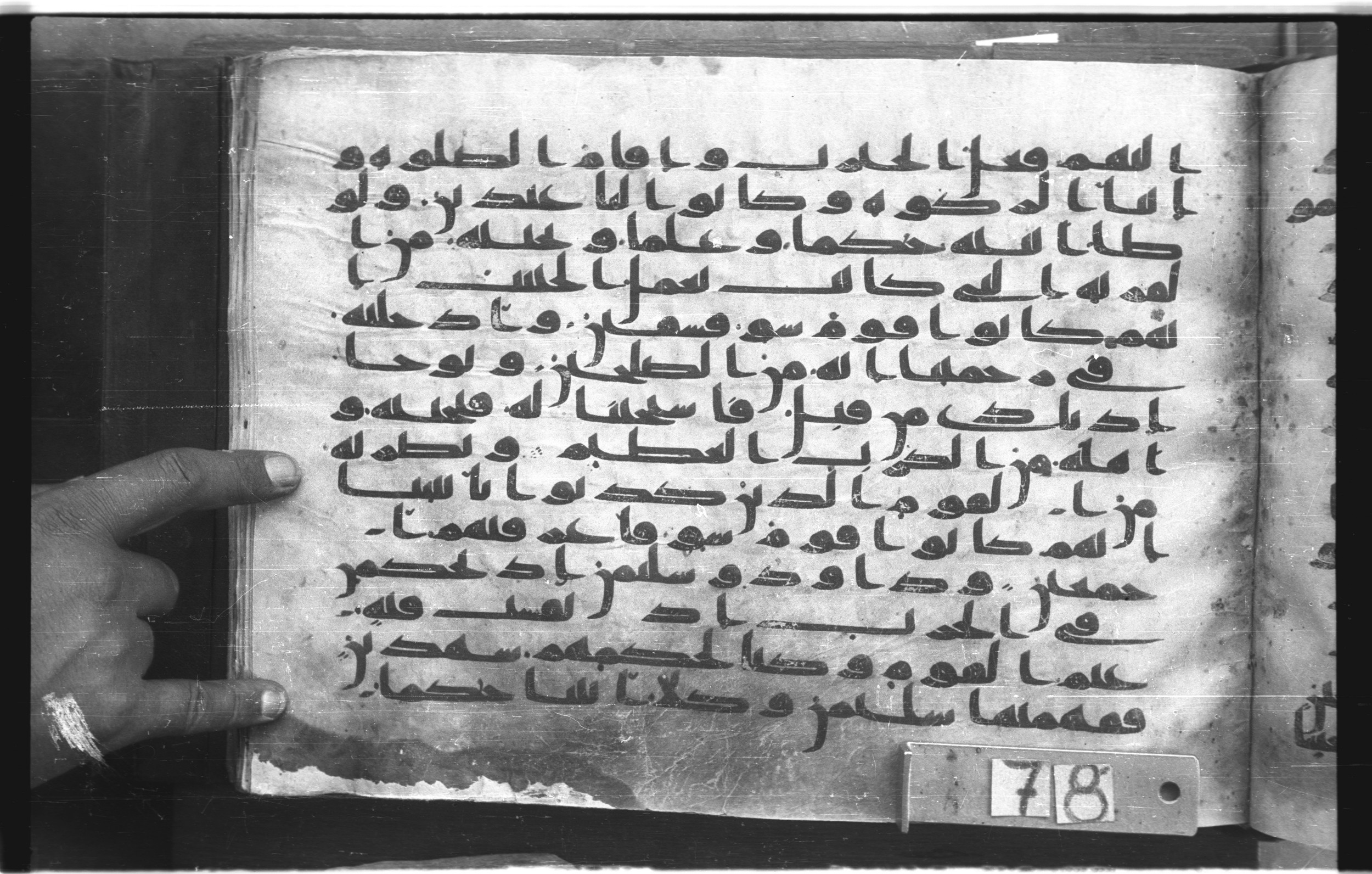 Topkapı Palace Museum, "Saray Medina 1b" (M. 3), in Kufic (Type C.III) script, showing Surah 21:76 from 8th to 10th Century AD found in Medina, Saudi Arabia, currently housed at Topkapı Palace Museum, Istanbul, Turkey