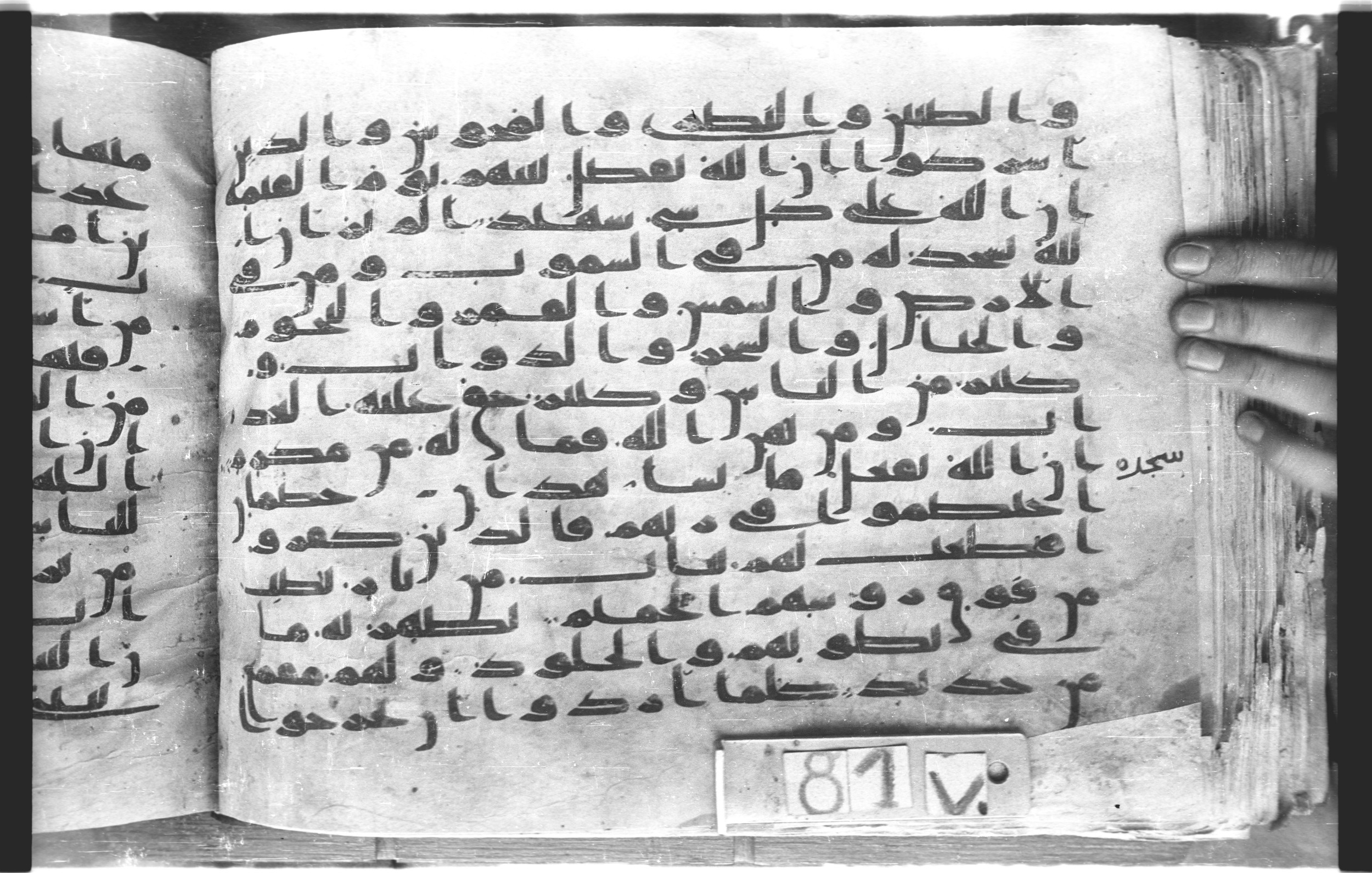 Topkapı Palace Museum, "Saray Medina 1b" (M. 3), in Kufic (Type C.III) script, showing Surah 22:21 from 8th to 10th Century AD found in Medina, Saudi Arabia, currently housed at Topkapı Palace Museum, Istanbul, Turkey
