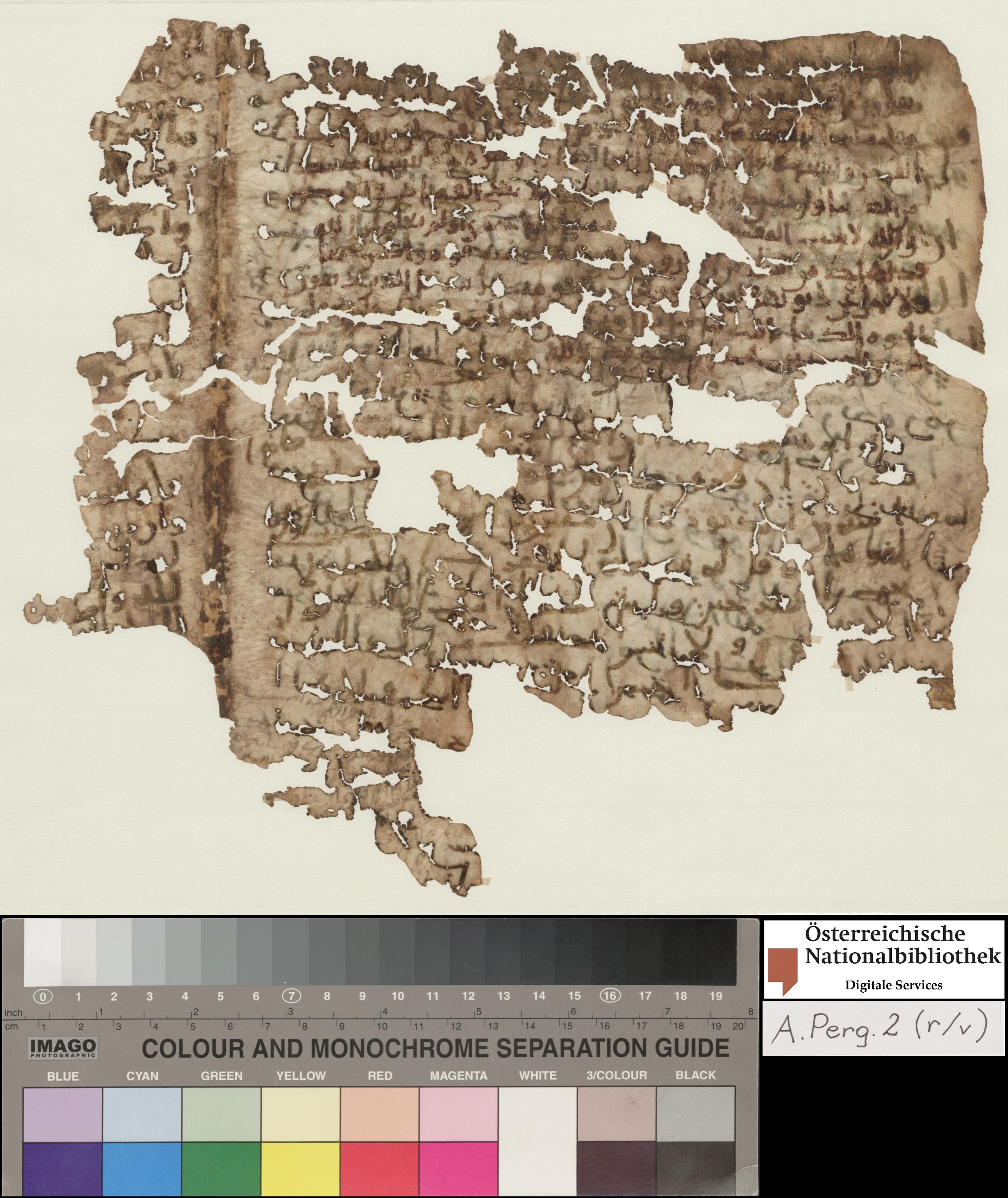 Vienna, Österreichische Nationalbibliothek, A Perg. 2, in ḥiǧāzī script, showing Surah 28:76 from Mid to Late 7th Century AD found in Egypt, currently housed at Österreichische Nationalbibliothek, Vienna