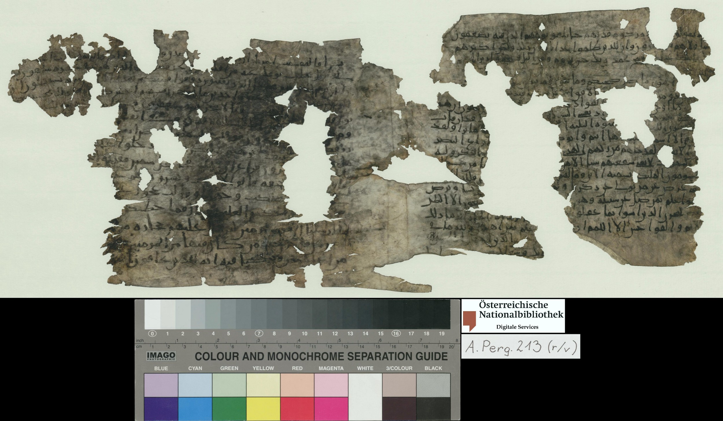 Vienna, Österreichische Nationalbibliothek, A Perg. 213, in kūfī B script, showing Surah 52:21 from Mid to Late 7th Century AD found in Egypt, currently housed at Österreichische Nationalbibliothek, Vienna