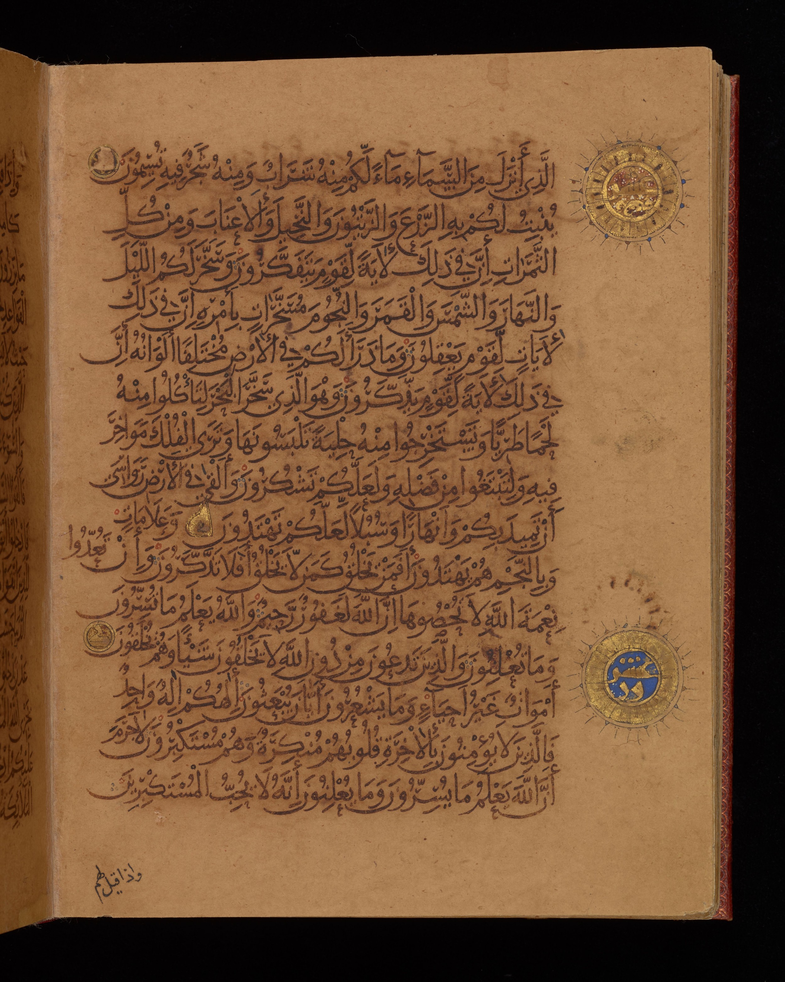 Dublin, Chester Beatty Library, Is 1431, in Nasḫī script, showing Surah 16:21 from Early 11th Century AD found in Baghdad, currently housed at Chester Beatty Library, Dublin, Ireland
