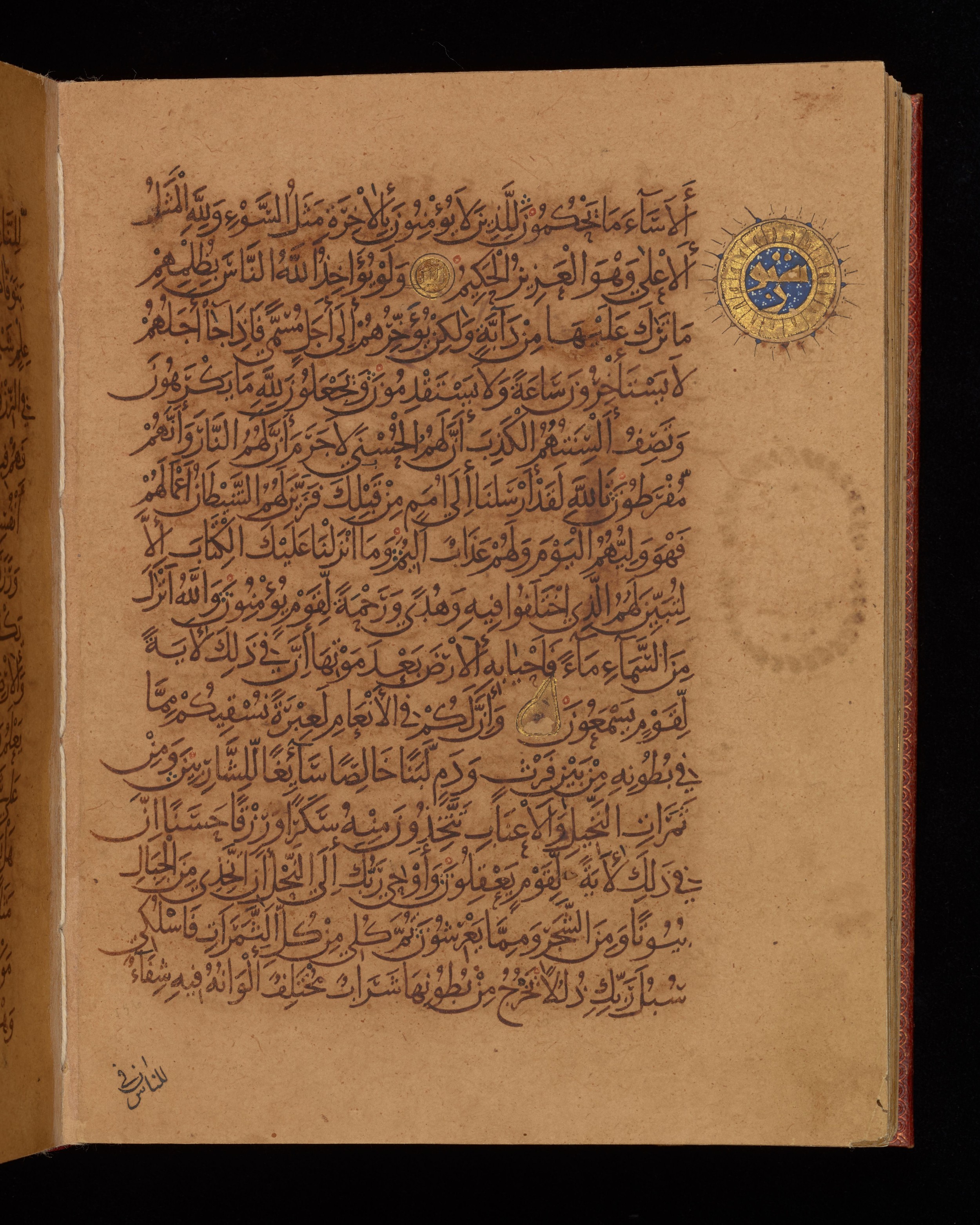 Dublin, Chester Beatty Library, Is 1431, in Nasḫī script, showing Surah 16:64 from Early 11th Century AD found in Baghdad, currently housed at Chester Beatty Library, Dublin, Ireland