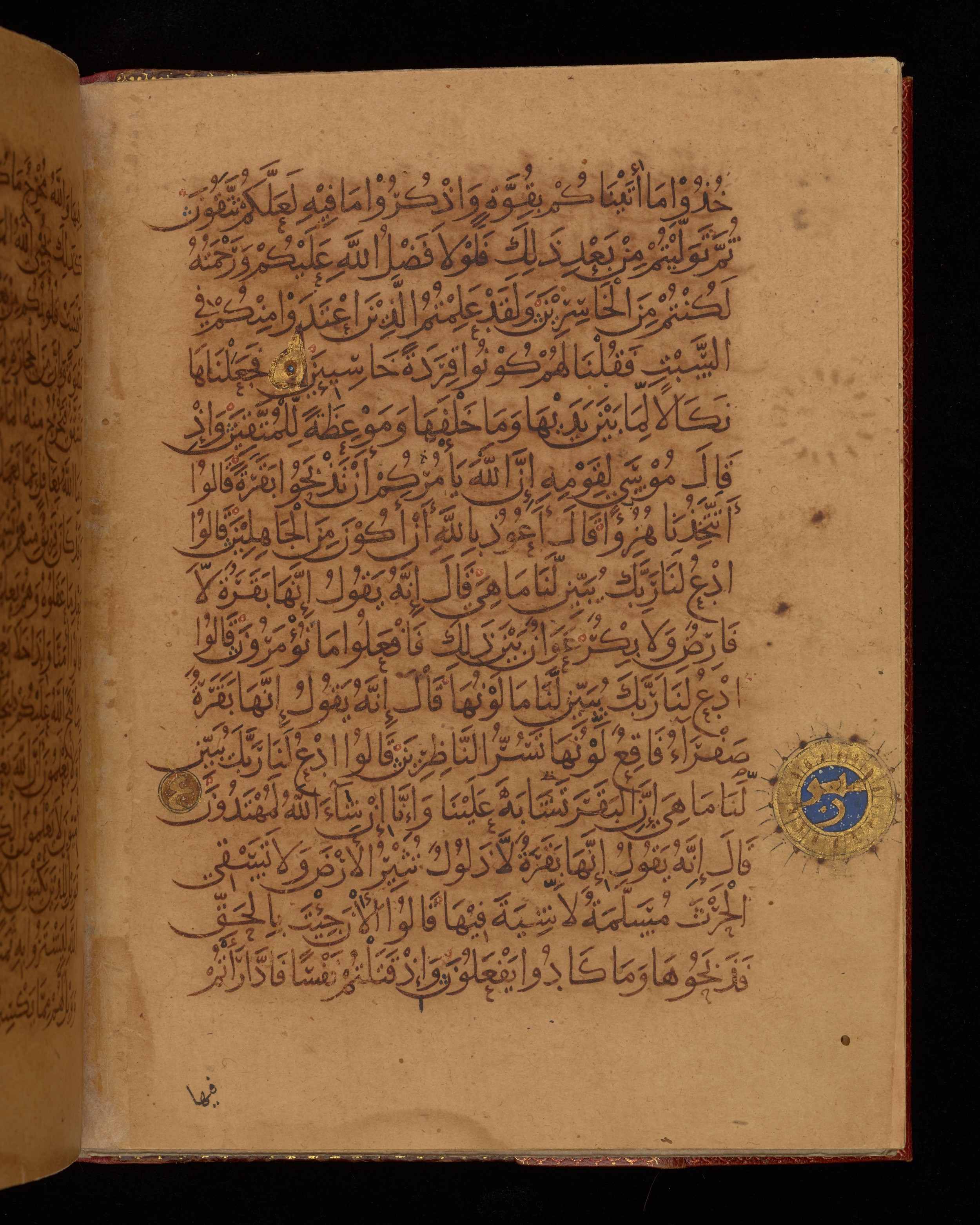 Dublin, Chester Beatty Library, Is 1431, in Nasḫī script, showing Surah 2:71 from Early 11th Century AD found in Baghdad, currently housed at Chester Beatty Library, Dublin, Ireland