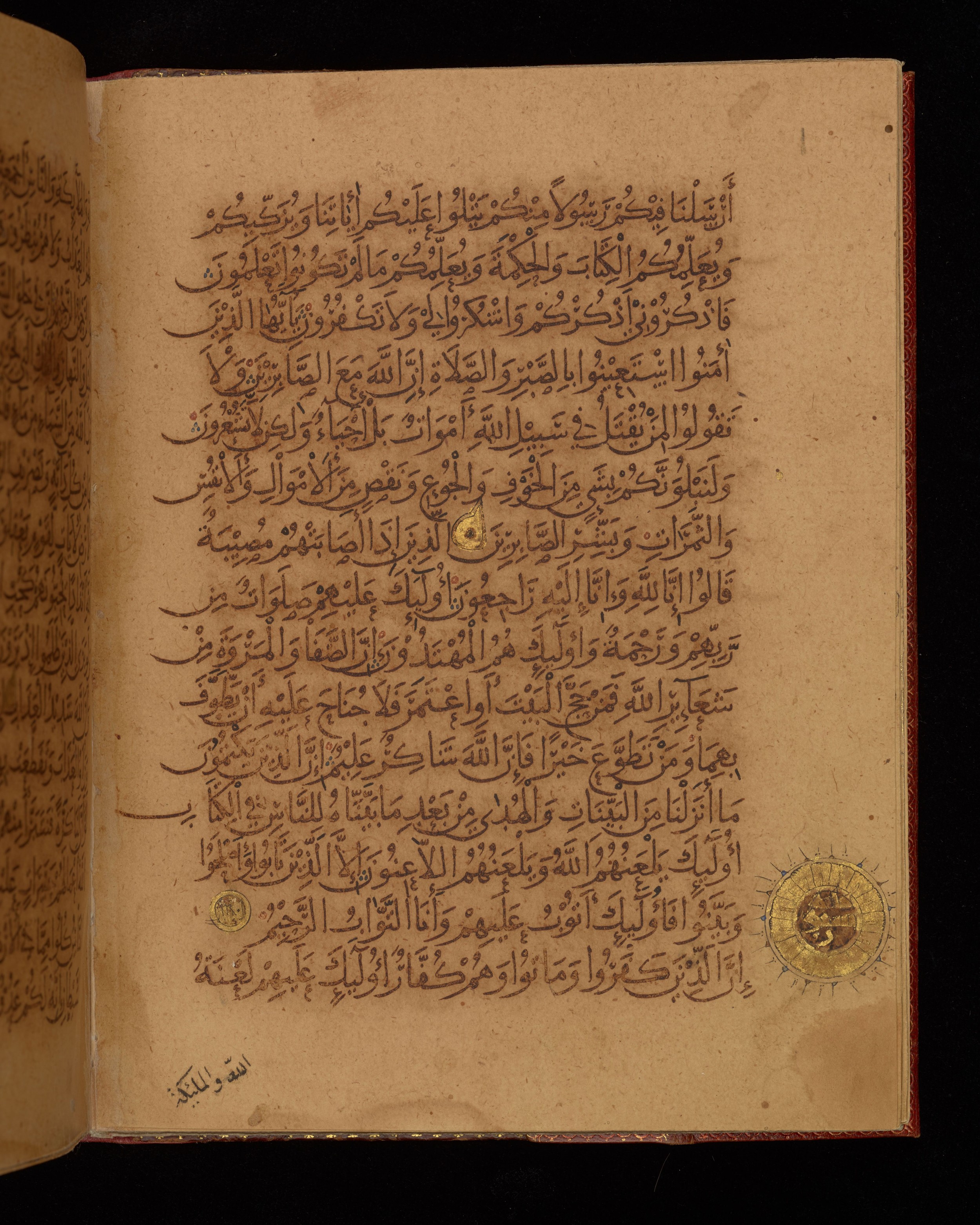 Dublin, Chester Beatty Library, Is 1431 (Scan 2), in Nasḫī script, showing Surah 2:151 from Early 11th Century AD found in Baghdad, currently housed at Chester Beatty Library, Dublin, Ireland