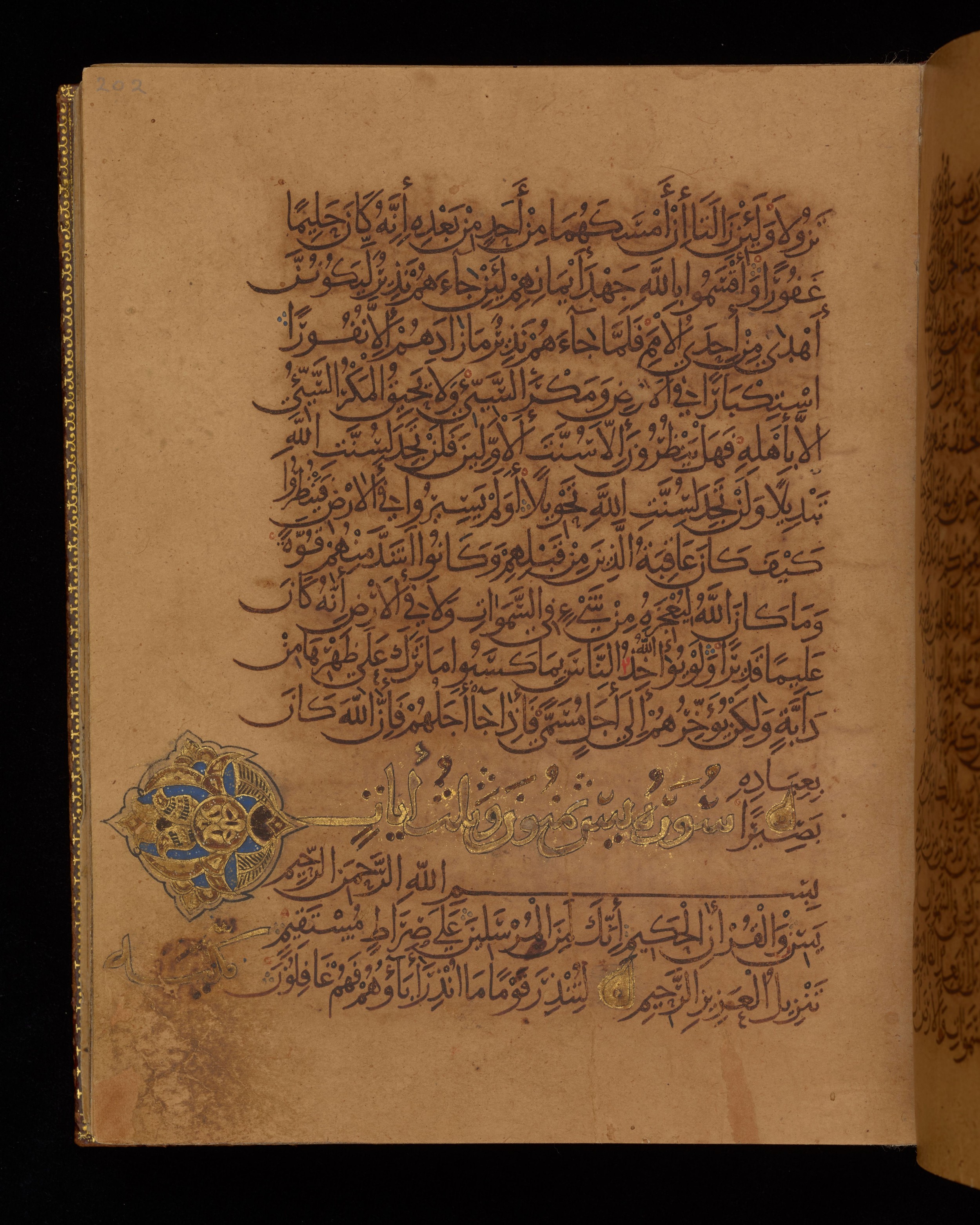 Dublin, Chester Beatty Library, Is 1431, in Nasḫī script, showing Surah 36:3 from Early 11th Century AD found in Baghdad, currently housed at Chester Beatty Library, Dublin, Ireland