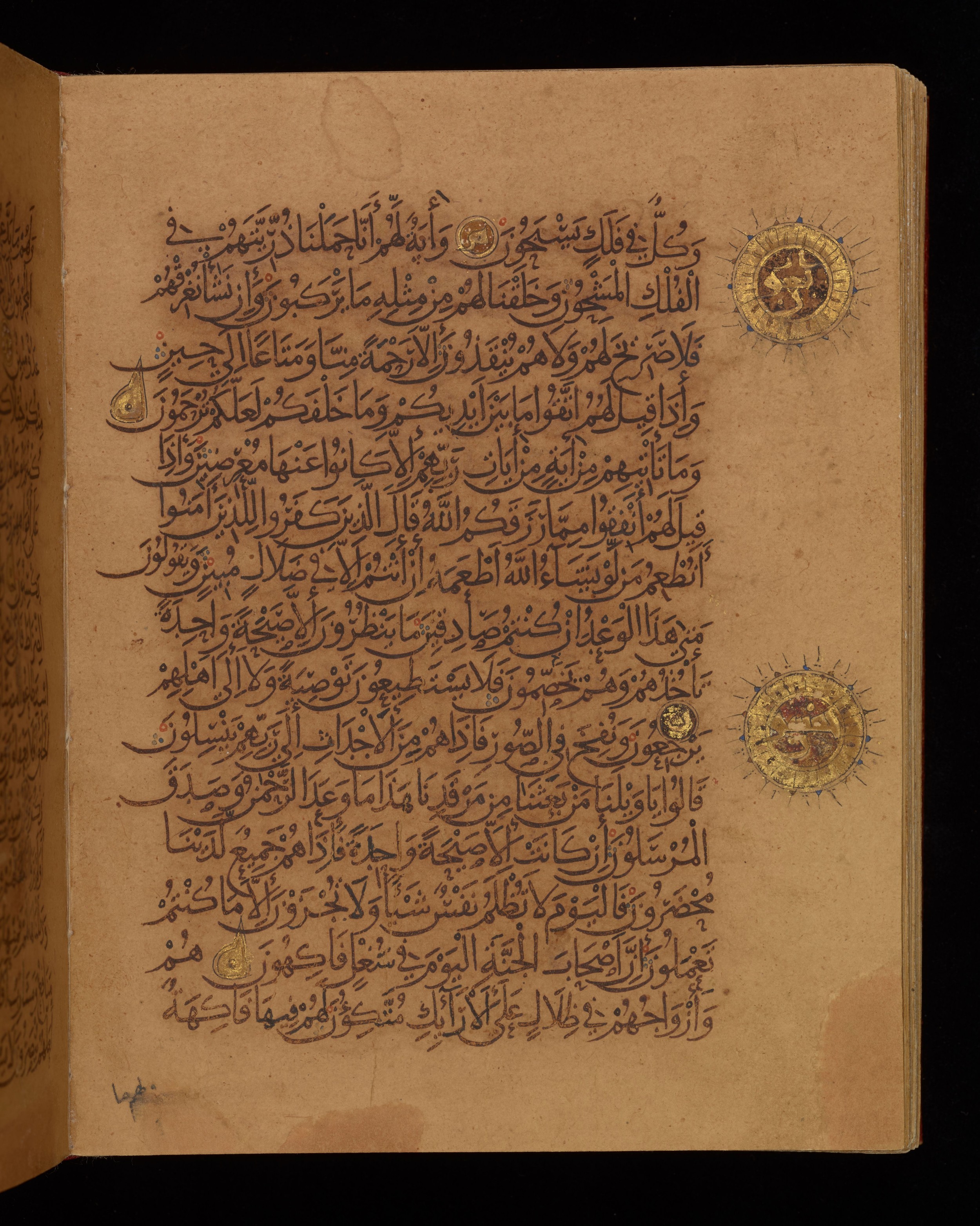 Dublin, Chester Beatty Library, Is 1431, in Nasḫī script, showing Surah 36:49 from Early 11th Century AD found in Baghdad, currently housed at Chester Beatty Library, Dublin, Ireland