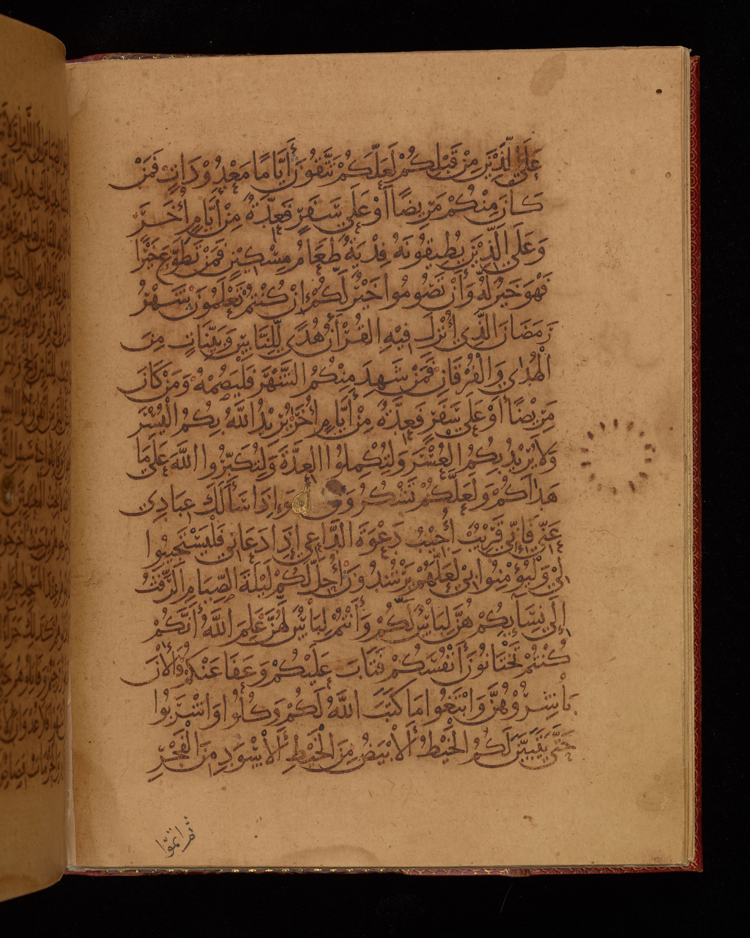 Dublin, Chester Beatty Library, Is 1431 (Scan 2), in Nasḫī script, showing Surah 2:183 from Early 11th Century AD found in Baghdad, currently housed at Chester Beatty Library, Dublin, Ireland