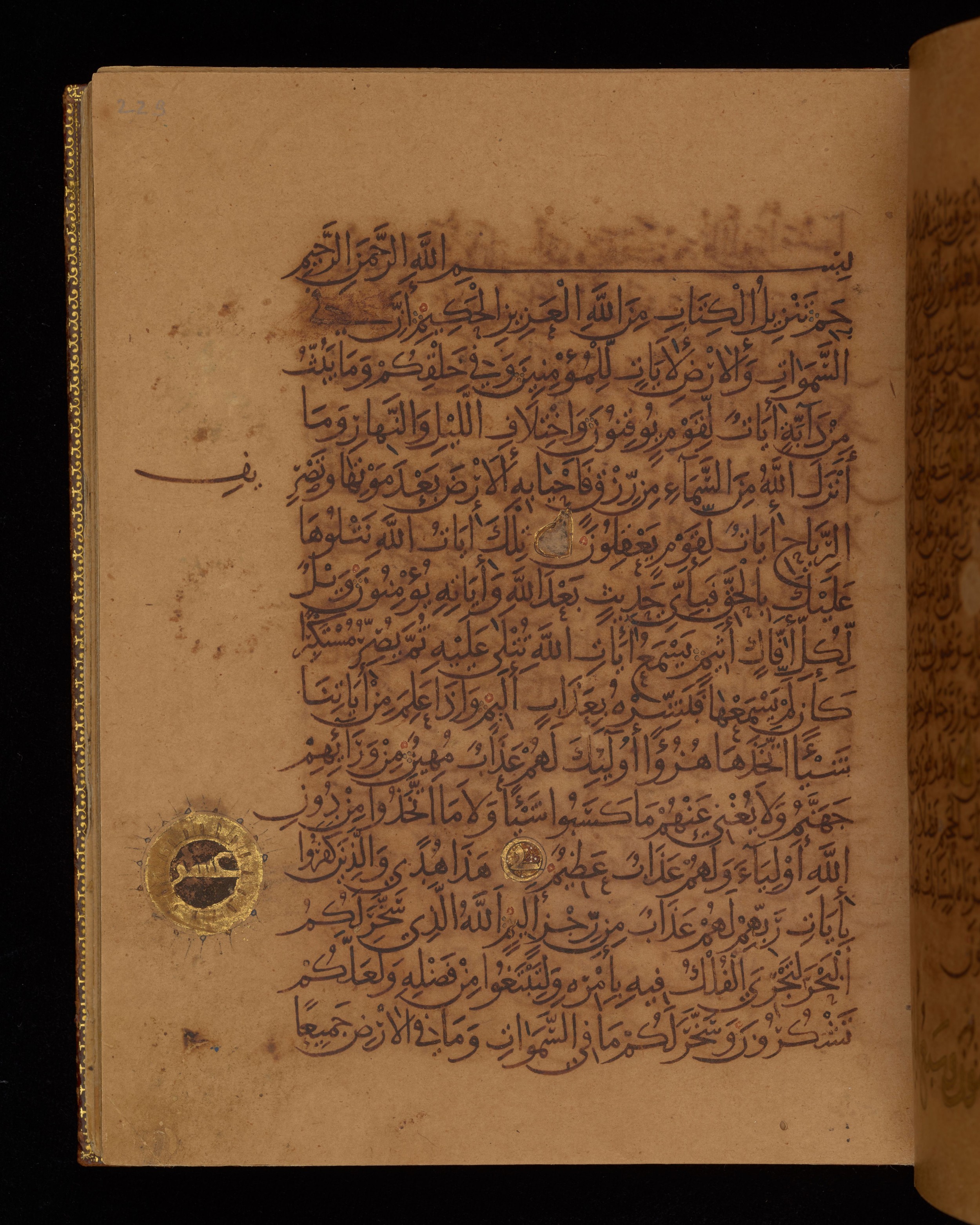 Dublin, Chester Beatty Library, Is 1431 (Scan 1), in Nasḫī script, showing Surah 45:13 from Early 11th Century AD found in Baghdad, currently housed at Chester Beatty Library, Dublin, Ireland
