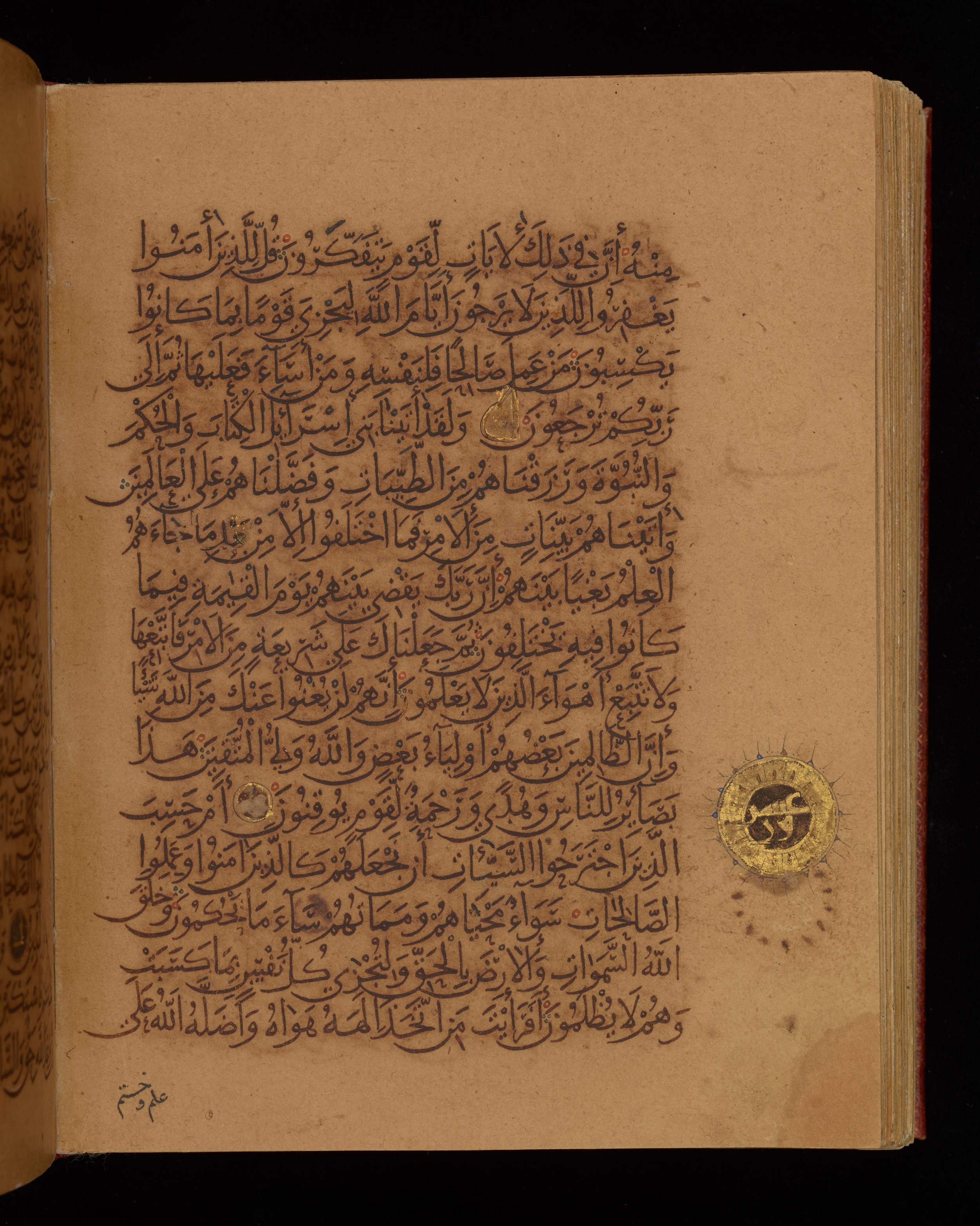 Dublin, Chester Beatty Library, Is 1431 (Scan 2), in Nasḫī script, showing Surah 45:13 from Early 11th Century AD found in Baghdad, currently housed at Chester Beatty Library, Dublin, Ireland