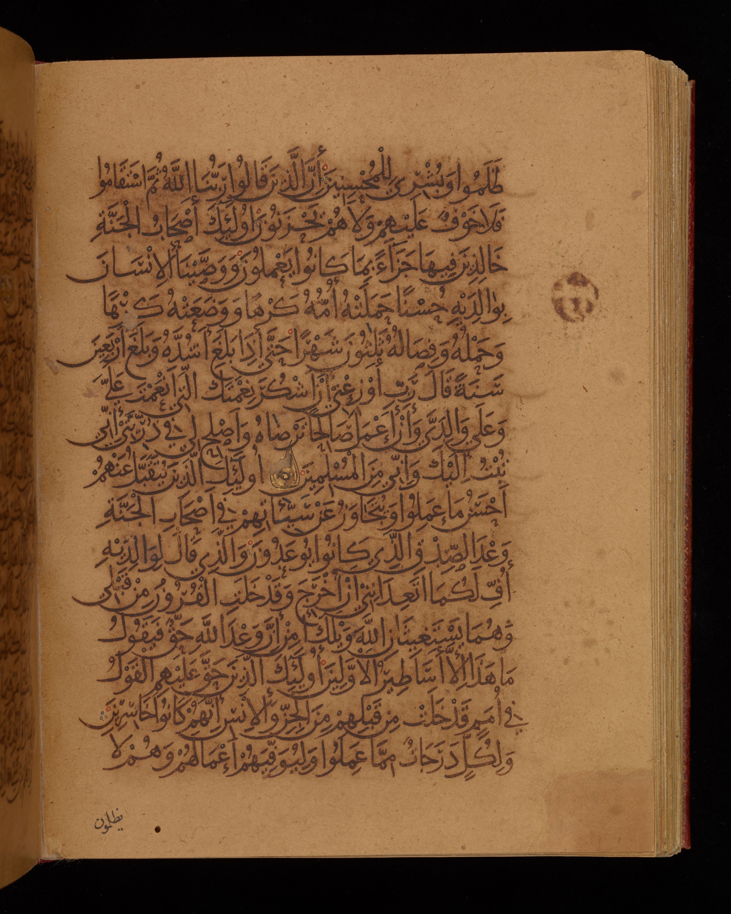 Dublin, Chester Beatty Library, Is 1431, in Nasḫī script, showing Surah 46:13 from Early 11th Century AD found in Baghdad, currently housed at Chester Beatty Library, Dublin, Ireland