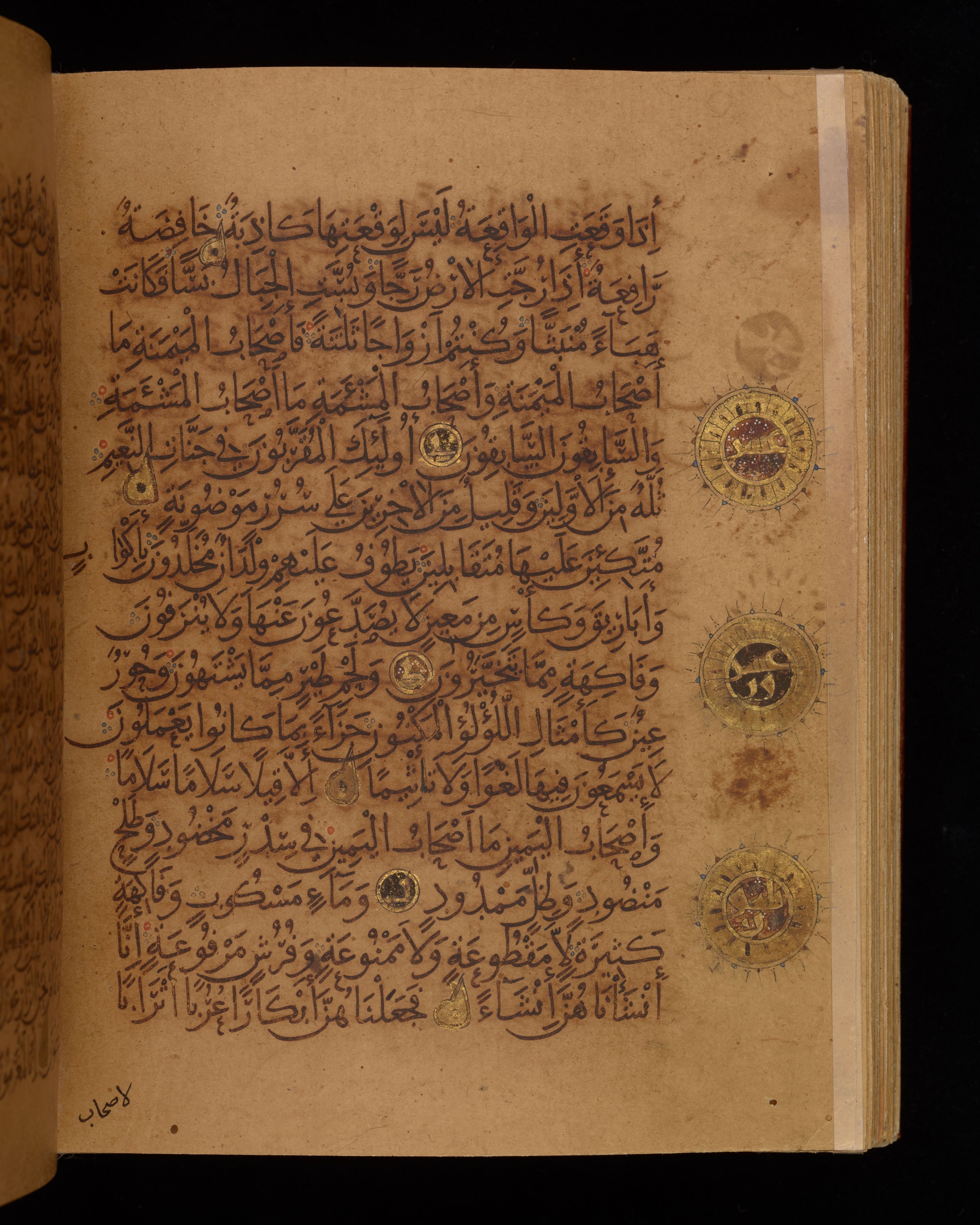 Dublin, Chester Beatty Library, Is 1431, in Nasḫī script, showing Surah 56:21 from Early 11th Century AD found in Baghdad, currently housed at Chester Beatty Library, Dublin, Ireland