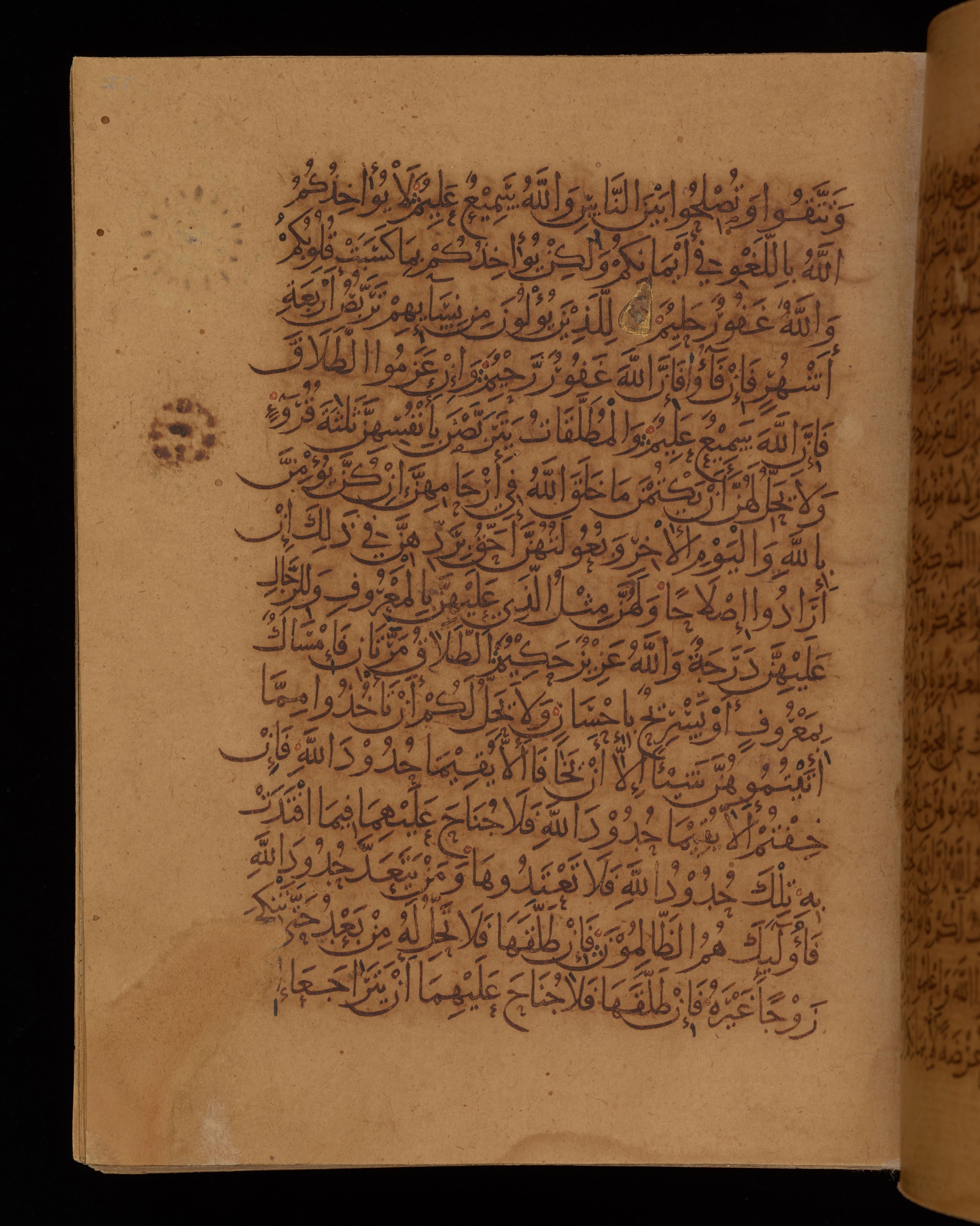 Dublin, Chester Beatty Library, Is 1431, in Nasḫī script, showing Surah 2:229 from Early 11th Century AD found in Baghdad, currently housed at Chester Beatty Library, Dublin, Ireland