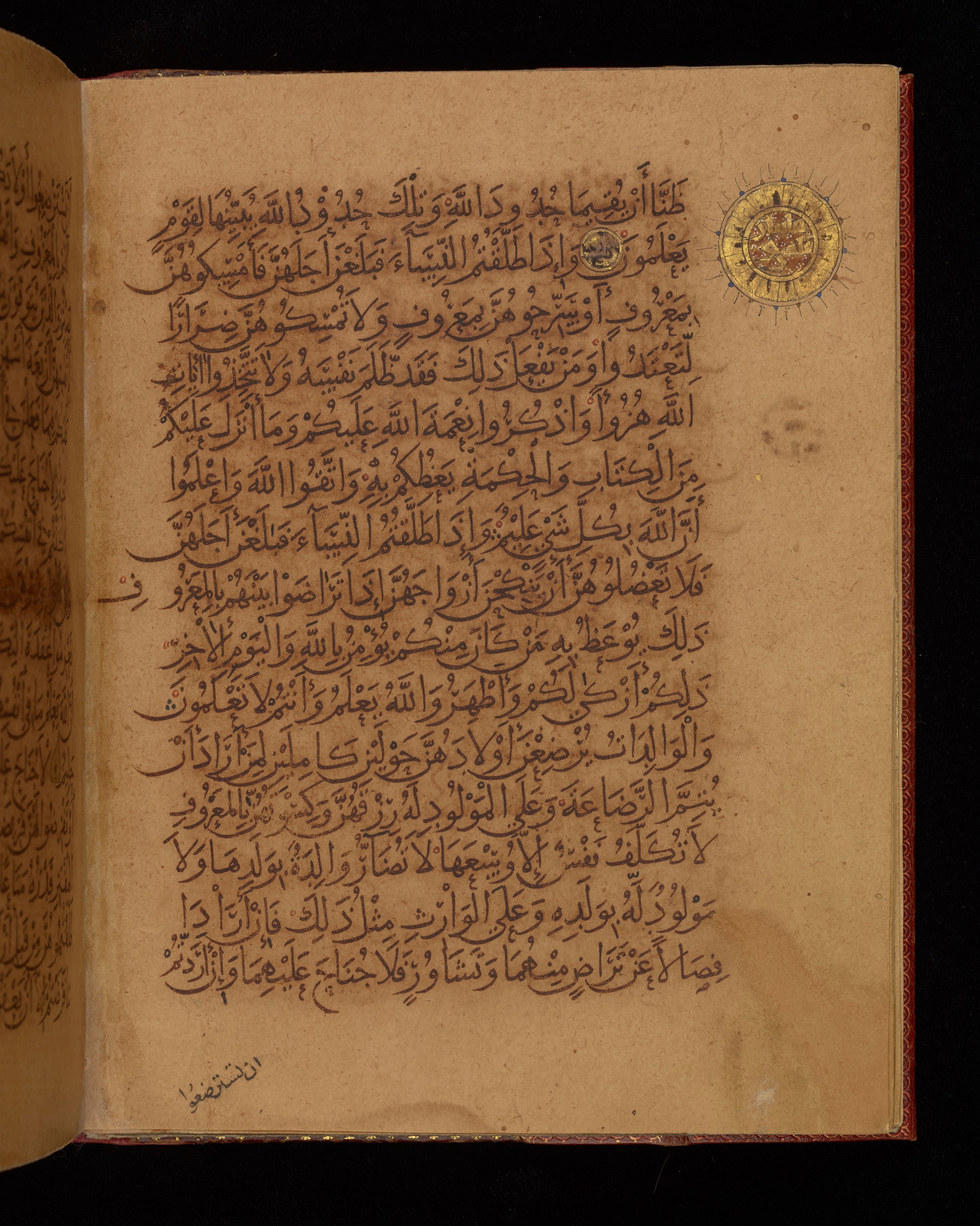 Dublin, Chester Beatty Library, Is 1431, in Nasḫī script, showing Surah 2:232 from Early 11th Century AD found in Baghdad, currently housed at Chester Beatty Library, Dublin, Ireland