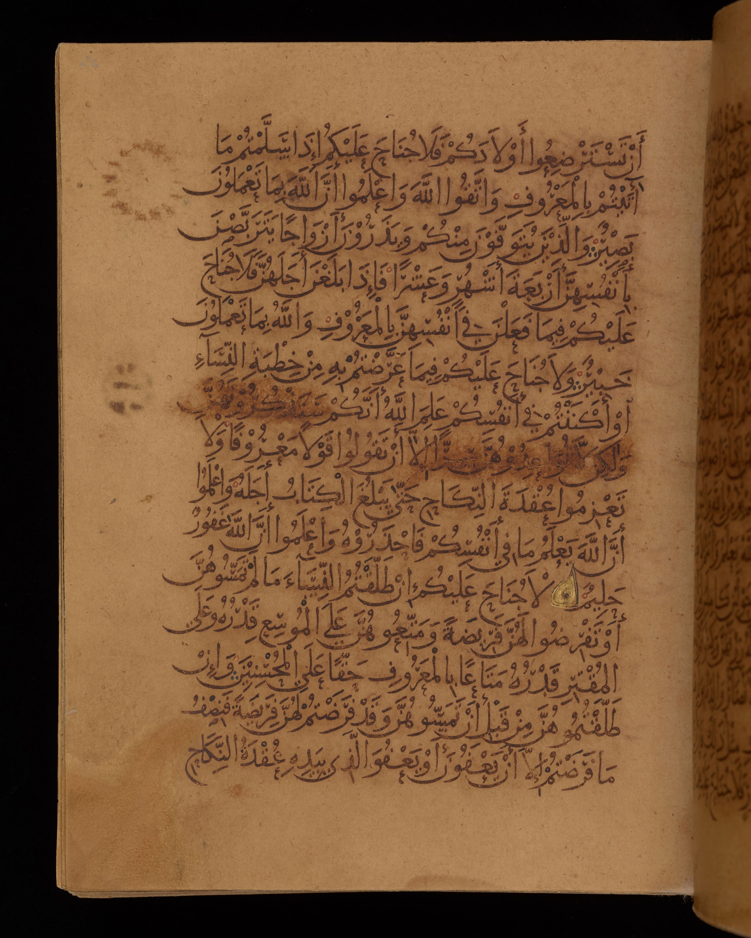 Dublin, Chester Beatty Library, Is 1431 (Scan 1), in Nasḫī script, showing Surah 2:237 from Early 11th Century AD found in Baghdad, currently housed at Chester Beatty Library, Dublin, Ireland