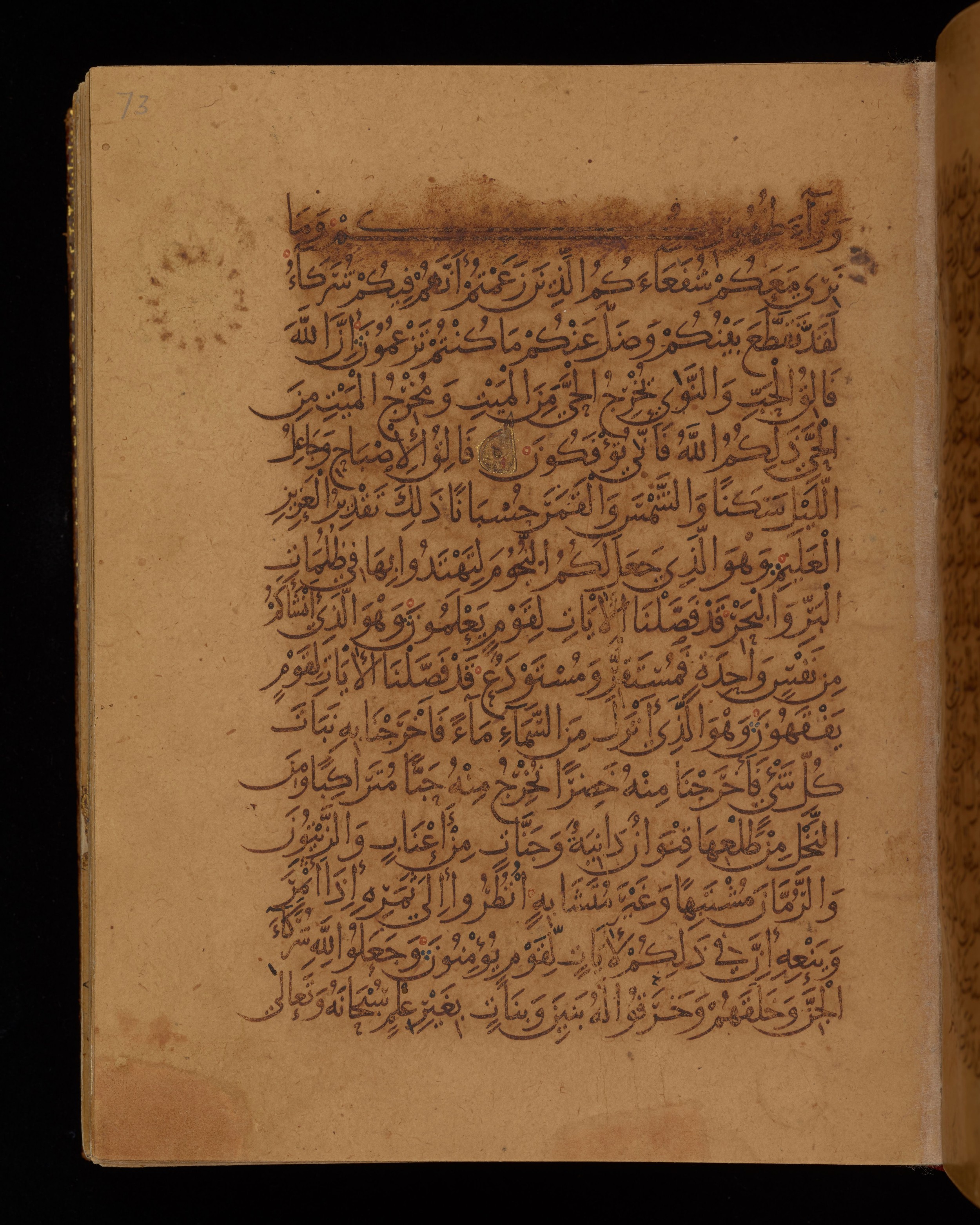 Dublin, Chester Beatty Library, Is 1431, in Nasḫī script, showing Surah 6:95 from Early 11th Century AD found in Baghdad, currently housed at Chester Beatty Library, Dublin, Ireland