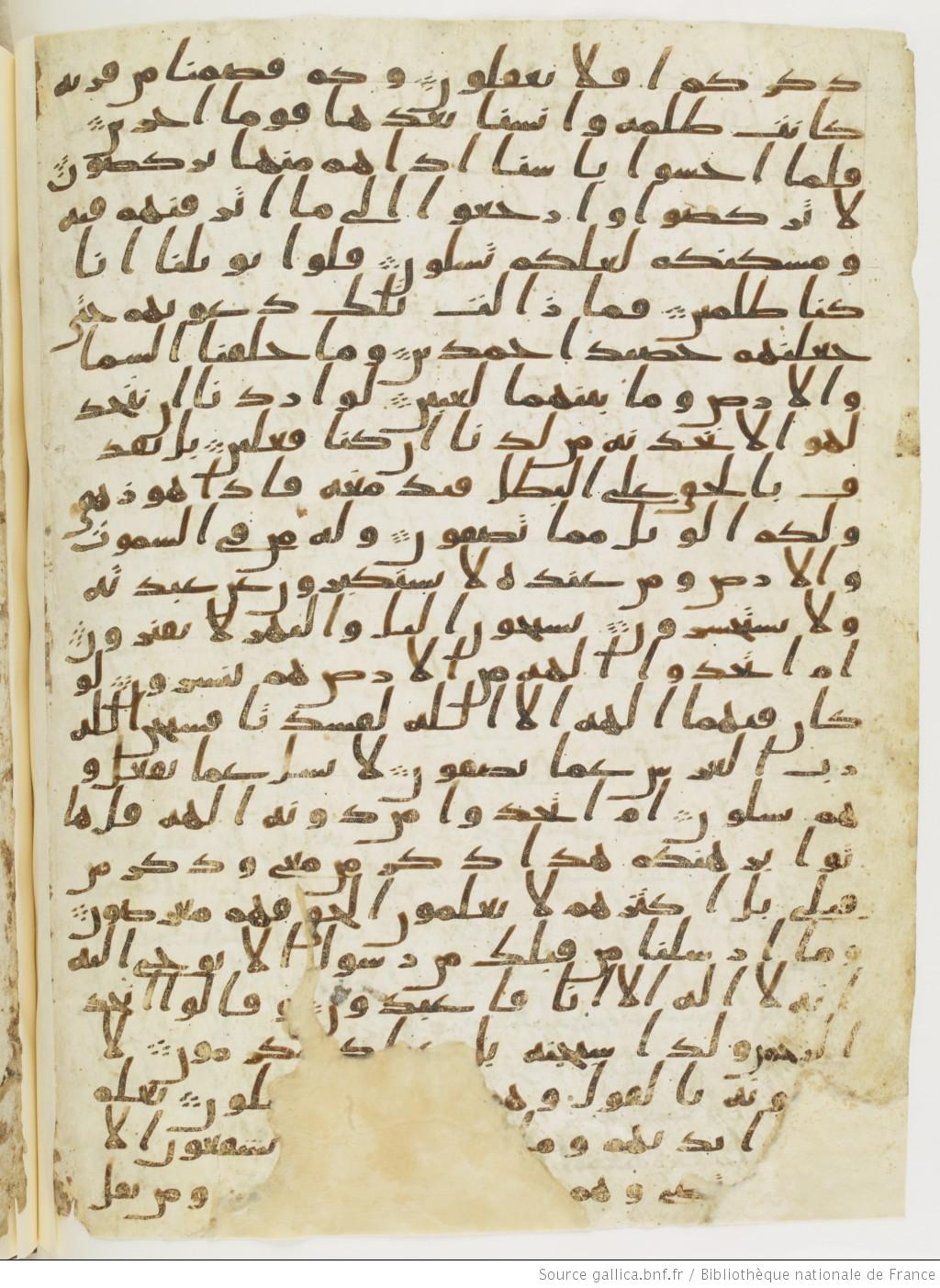 Paris, Bibliothèque nationale de France, Arabe 328 (c) (Scan 1), in Ḥiǧāzī I script, showing Surah 21:29 from Late 6th to Mid-7th Century AD found in Fustat (Old Cairo), Egypt, currently housed at Bibliothèque nationale de France, Paris