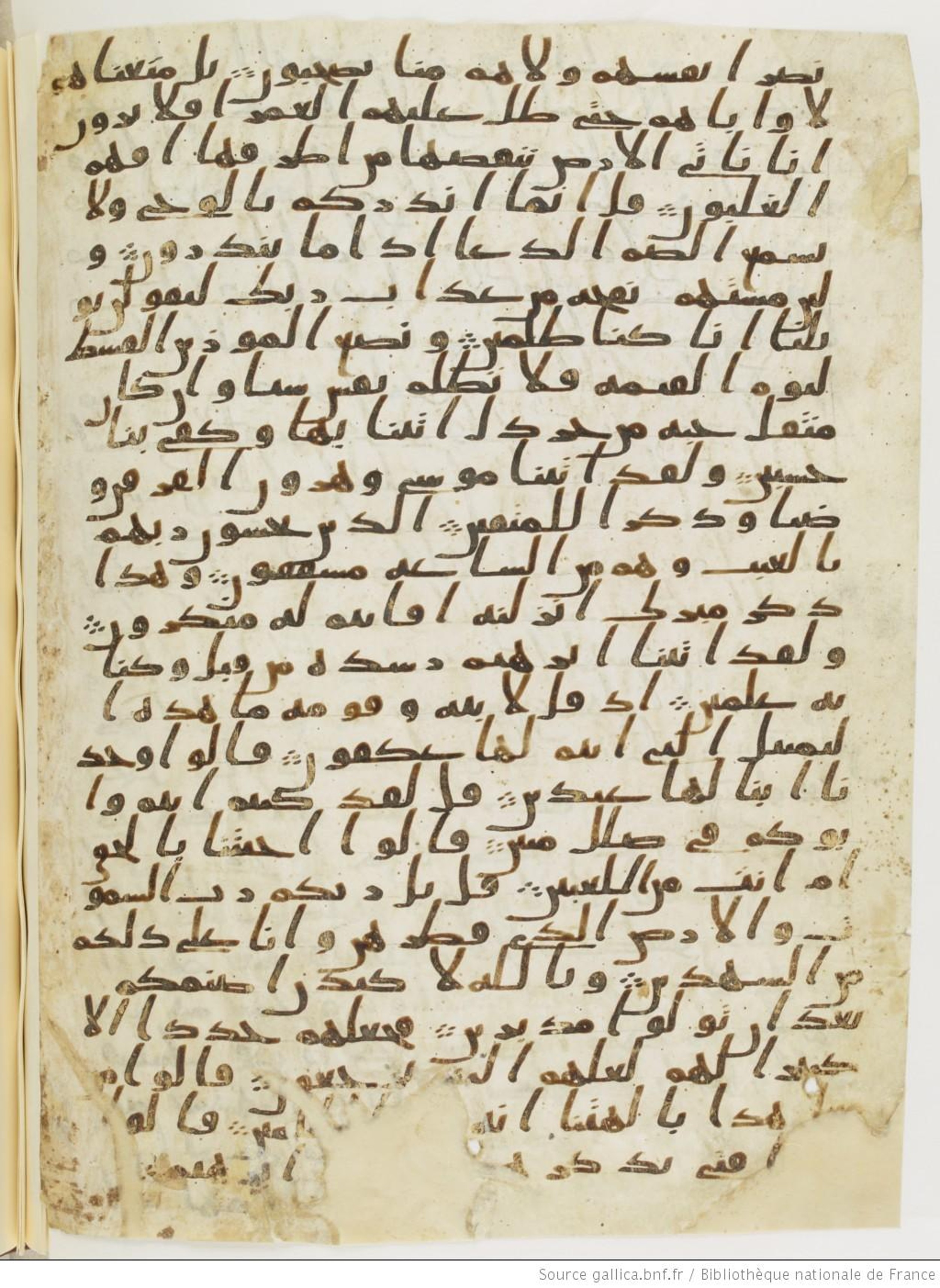 Paris, Bibliothèque nationale de France, Arabe 328 (c), in Ḥiǧāzī I script, showing Surah 21:49 from Late 6th to Mid-7th Century AD found in Fustat (Old Cairo), Egypt, currently housed at Bibliothèque nationale de France, Paris