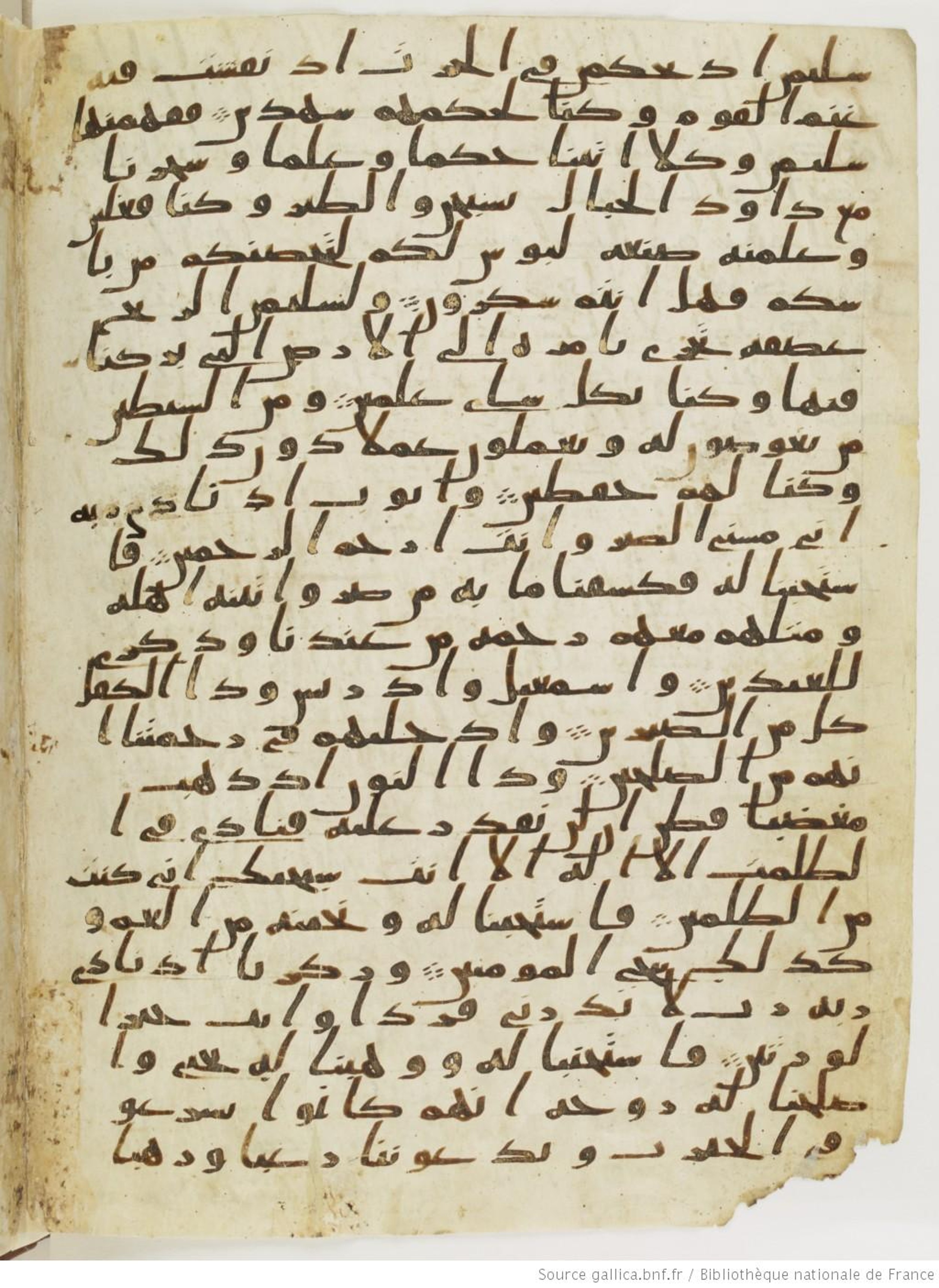 Paris, Bibliothèque nationale de France, Arabe 328 (c), in Ḥiǧāzī I script, showing Surah 21:83 from Late 6th to Mid-7th Century AD found in Fustat (Old Cairo), Egypt, currently housed at Bibliothèque nationale de France, Paris