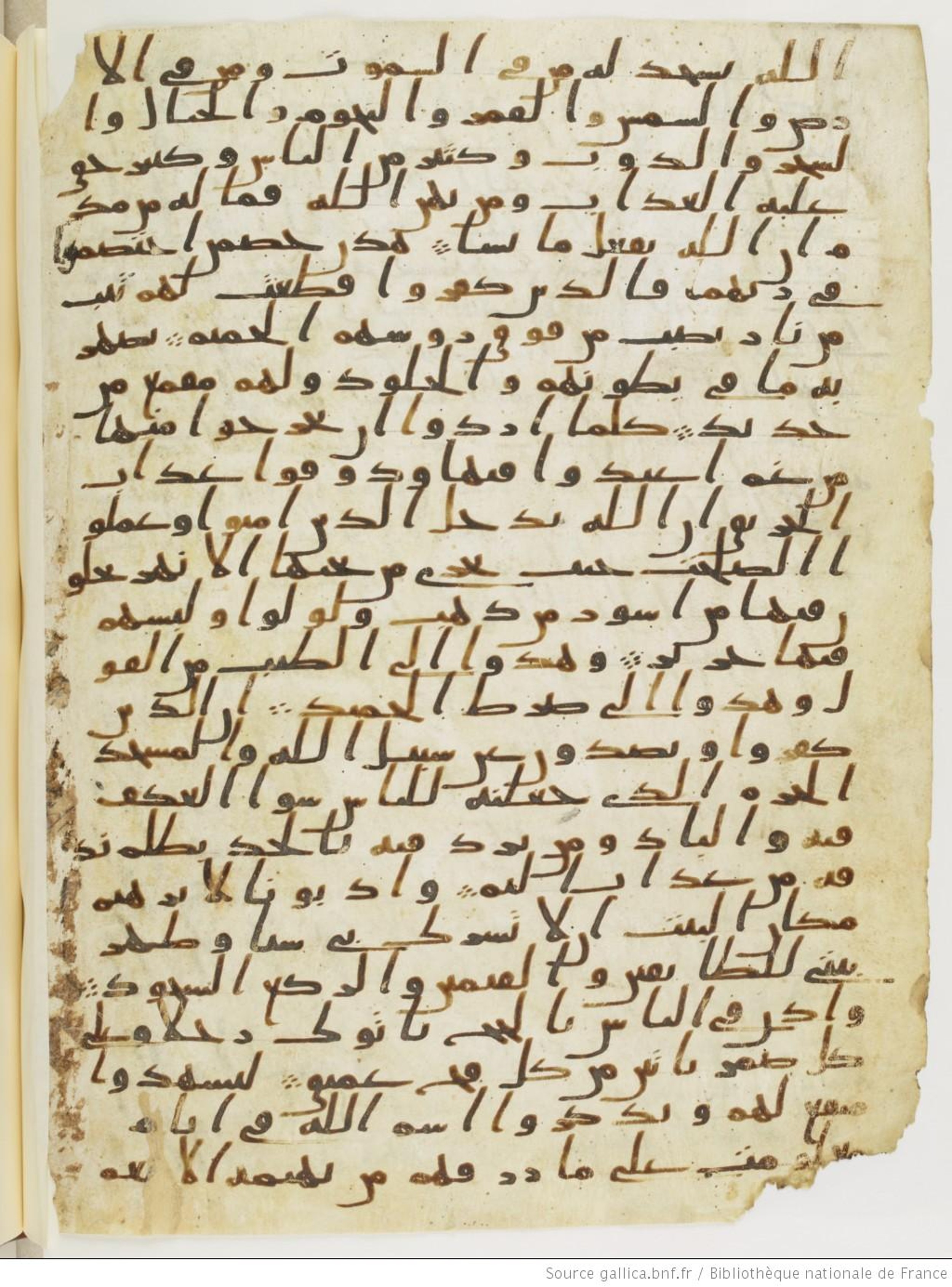 Paris, Bibliothèque nationale de France, Arabe 328 (c), in Ḥiǧāzī I script, showing Surah 22:21 from Late 6th to Mid-7th Century AD found in Fustat (Old Cairo), Egypt, currently housed at Bibliothèque nationale de France, Paris