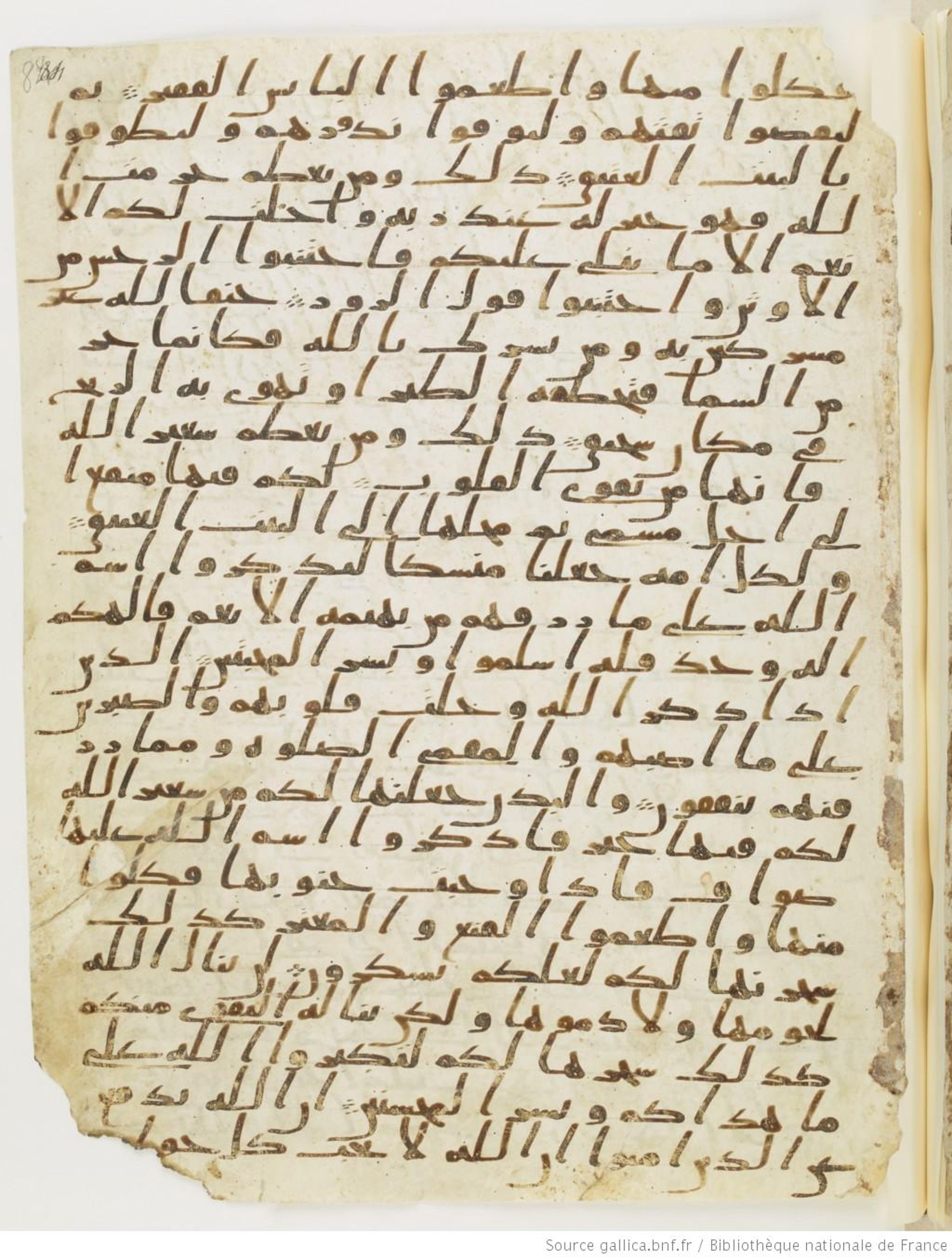 Paris, Bibliothèque nationale de France, Arabe 328 (c) (Scan 2), in Ḥiǧāzī I script, showing Surah 22:33 from Late 6th to Mid-7th Century AD found in Fustat (Old Cairo), Egypt, currently housed at Bibliothèque nationale de France, Paris